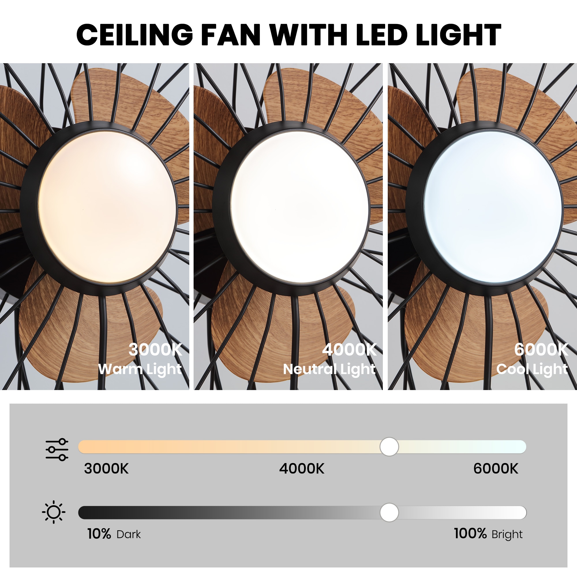 Antoine LSFD-52 Ceiling-Fans - View #8