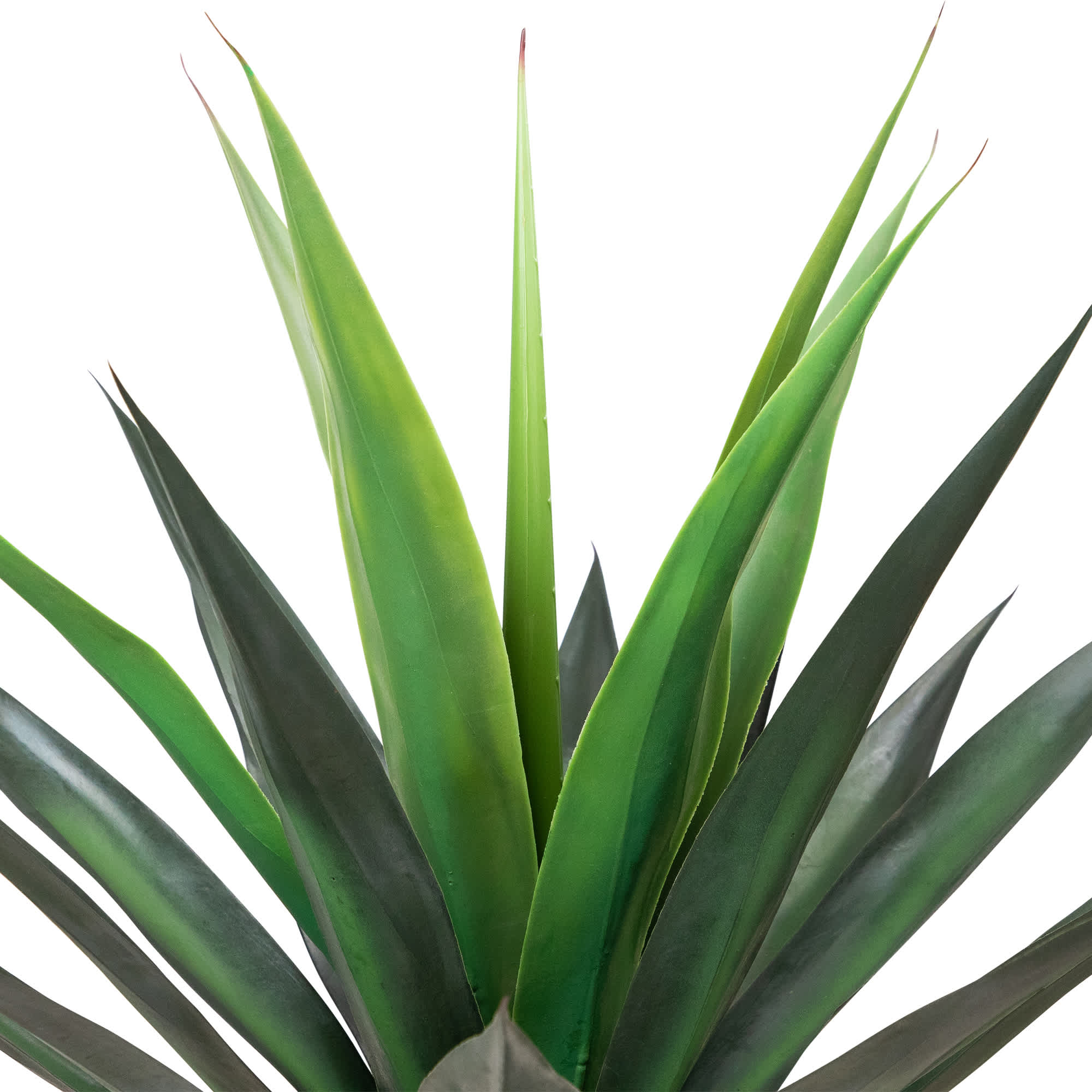 Northlight NORTHLIGHT SM97462 Artificial-Plants-Trees - View #5