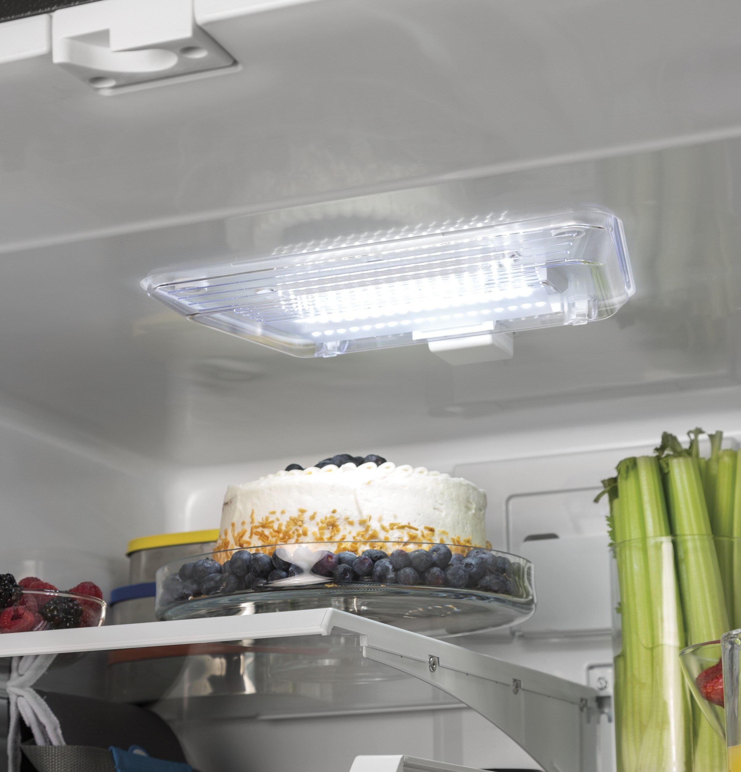 GE GBE21DSKSS Bottom-Freezer-Refrigerators - View #6