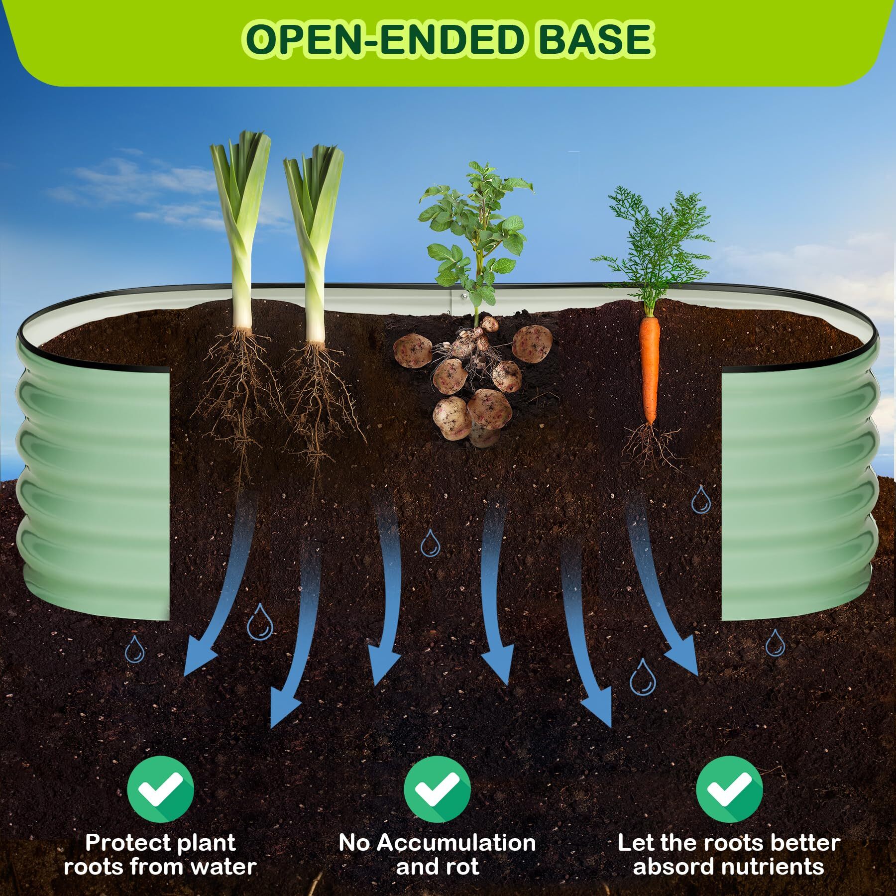 Encore Beets NOVA-Y9TNKG5B9K Raised-Garden-Beds - View #3