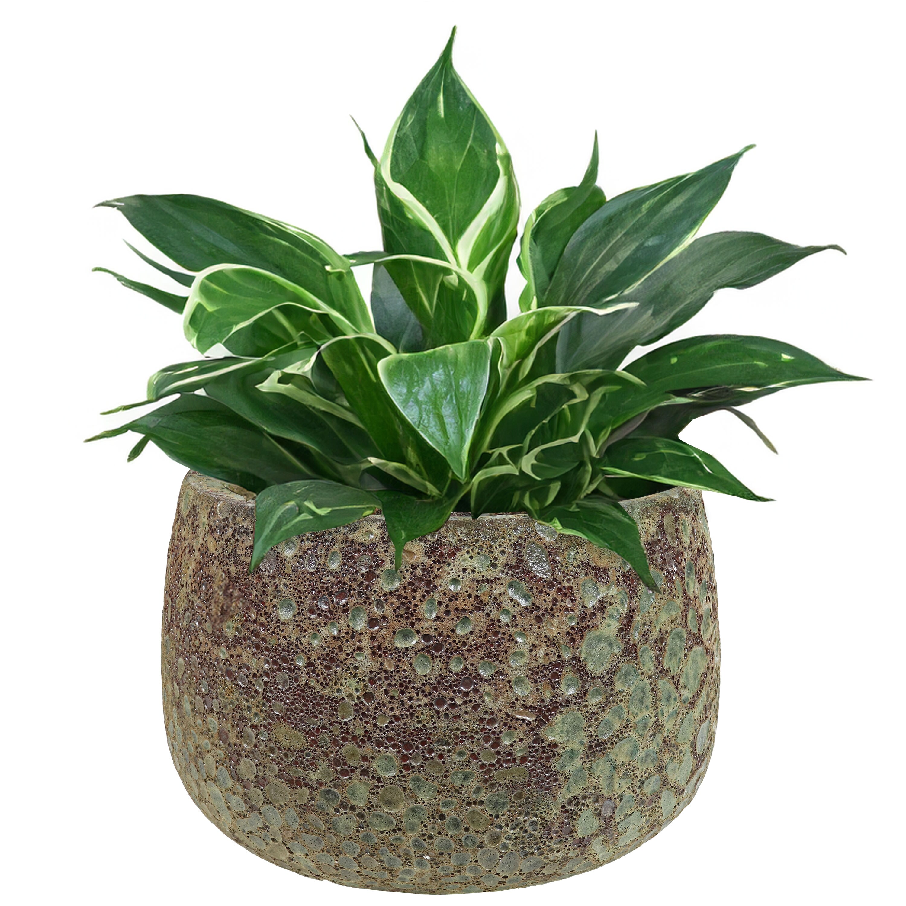 Sunnydaze Decor VBD-653 Planter-Window-Box - View #7