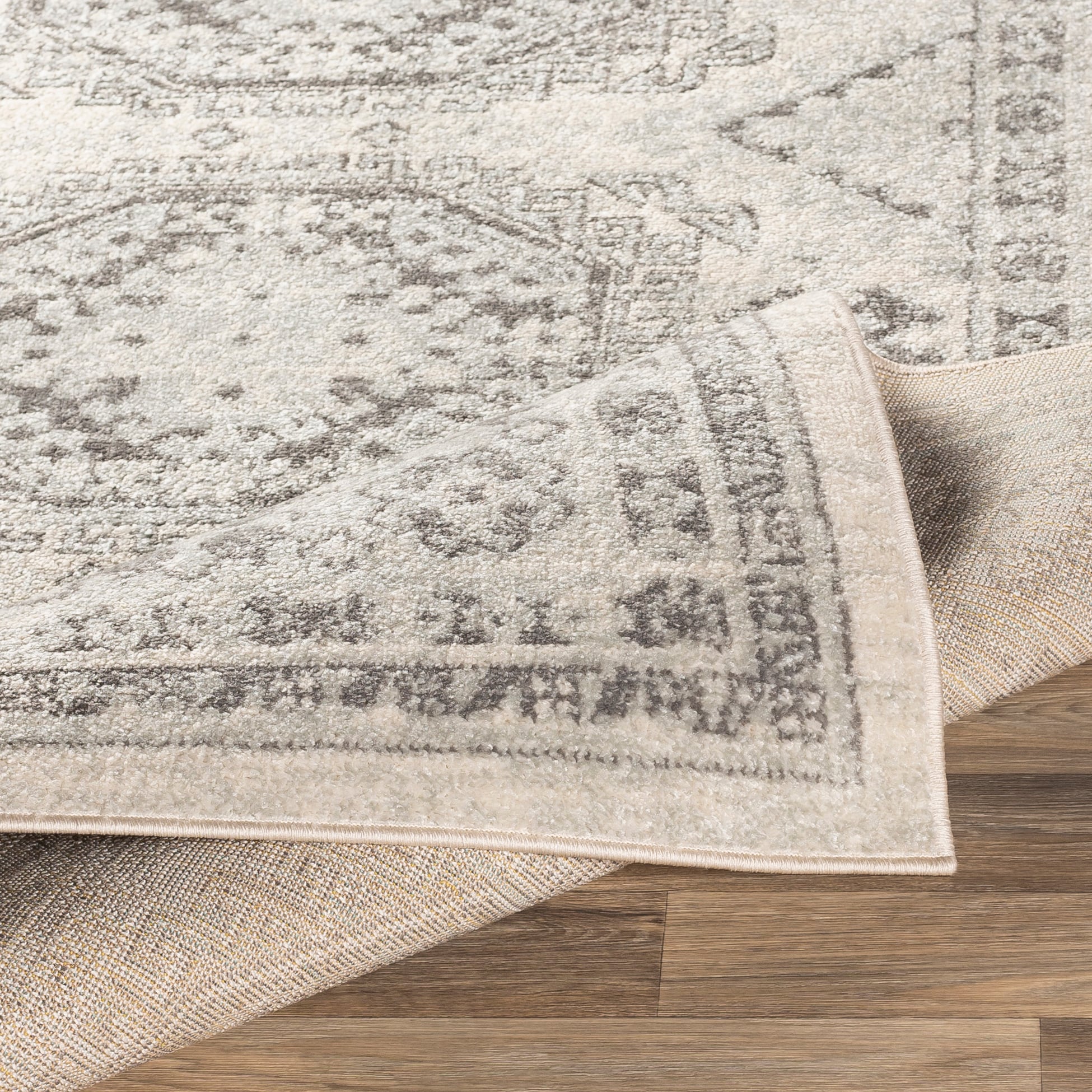 Livabliss CHE2309-710103 rugs - View #4