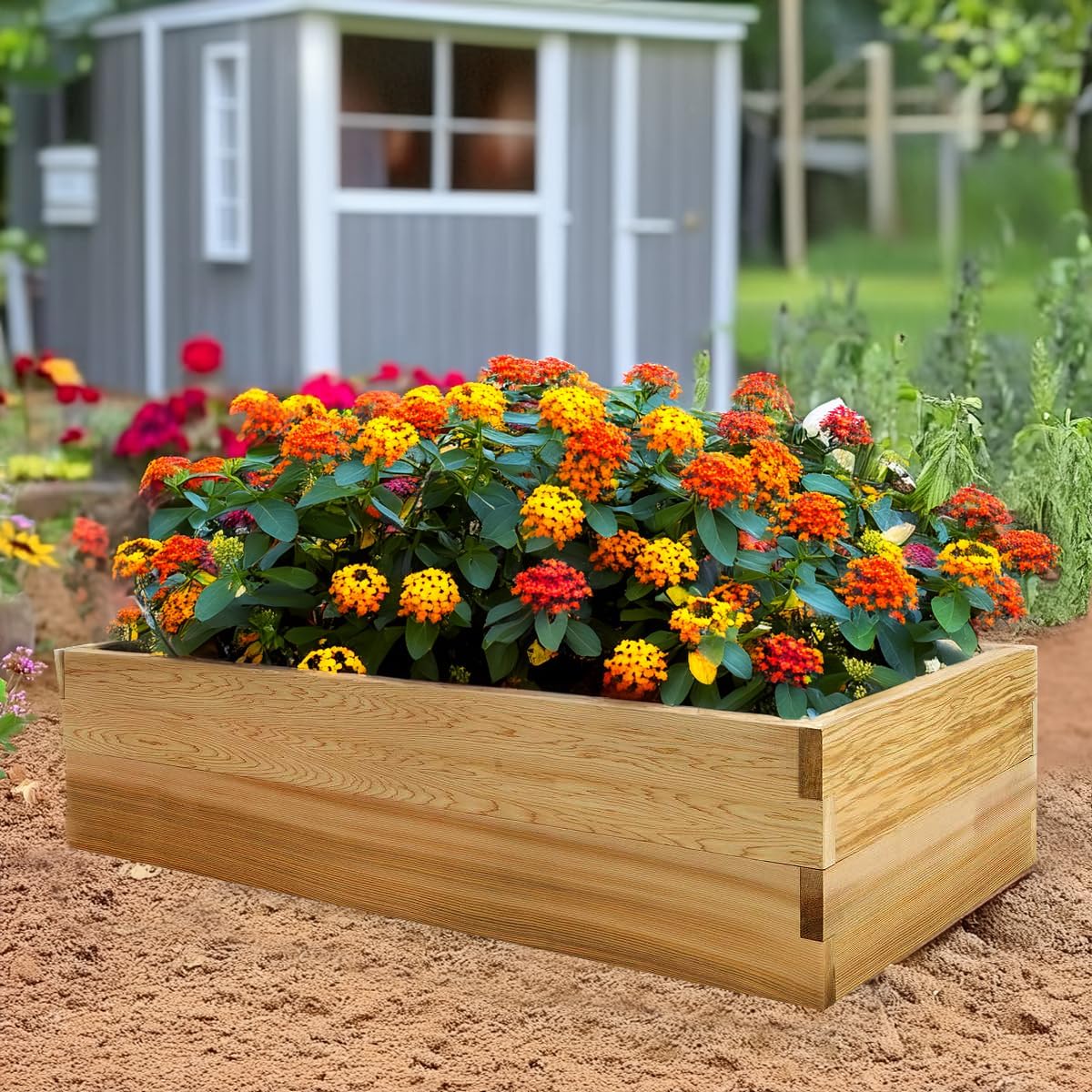 All Things Cedar RG48-2 Raised-Garden-Beds - View #4