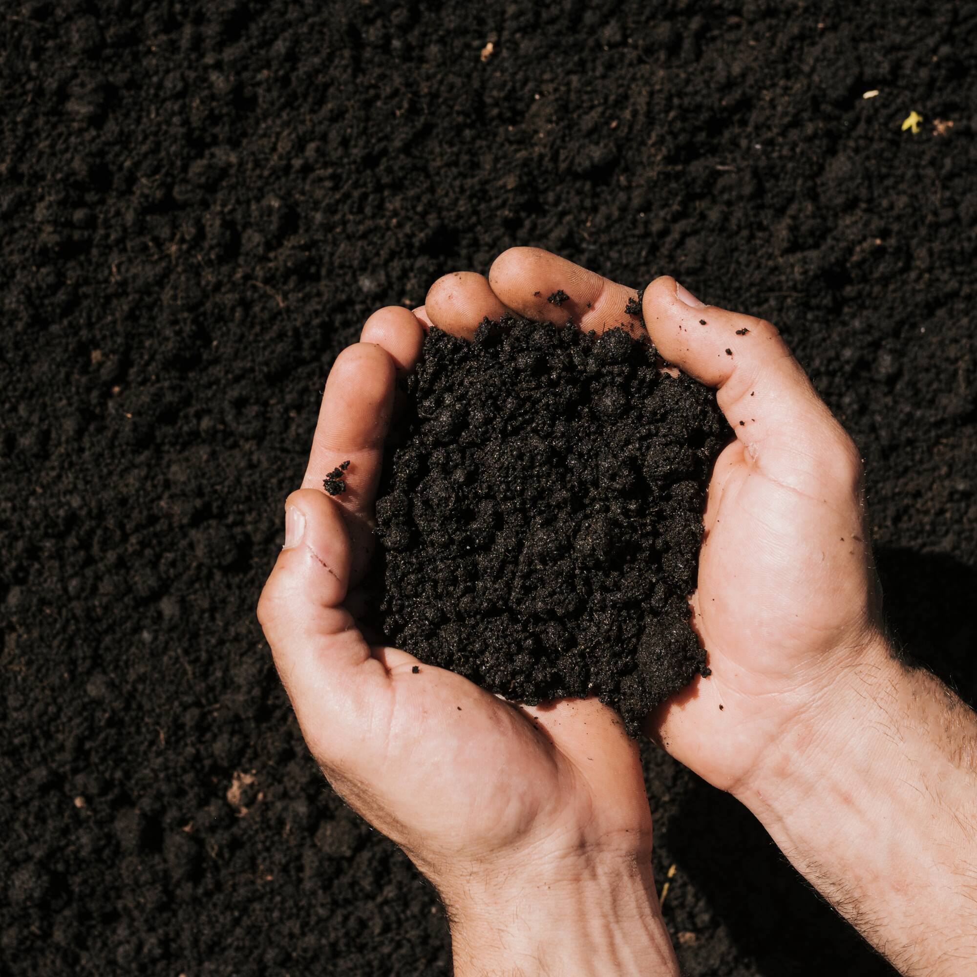 Gardenscape GTS4 Garden-Soil-Soil-Amendments - View #16