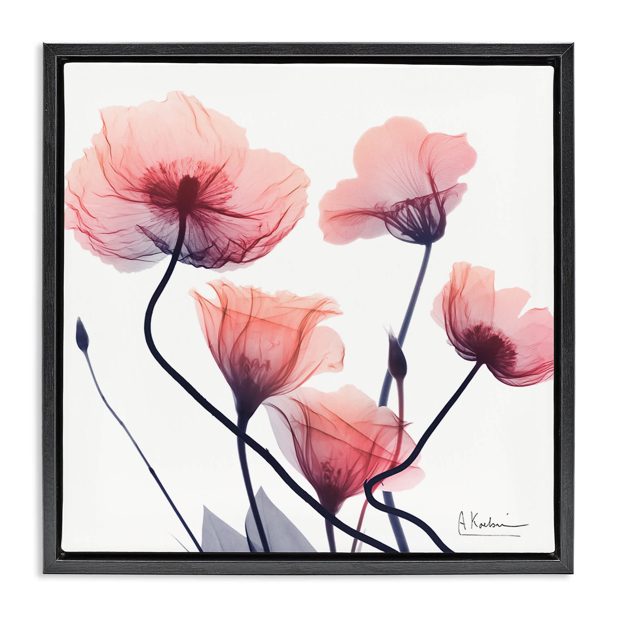 Stupell Industries BS-027-FFB-24X24 Pink Chic Simple Flowers Black Framed Floater Canvas Wall Art By Albert Koetsier 25 x 25