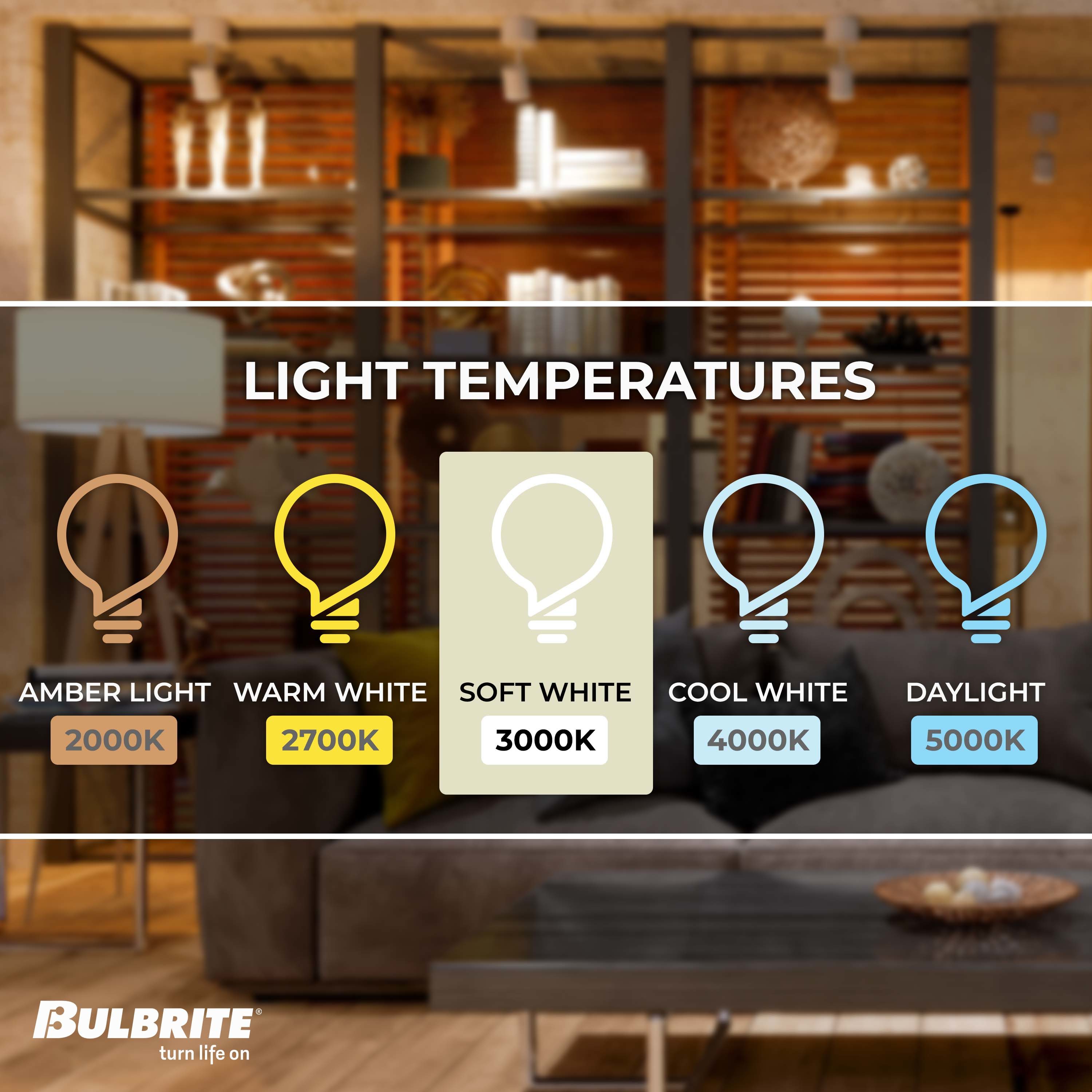 Bulbrite 861928 Dec-Led-Light-Bulbs - View #3