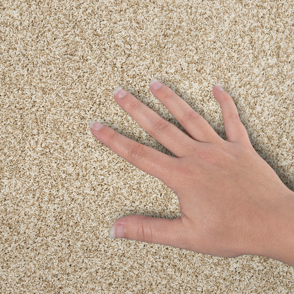 STAINMASTER SS040-L006-S0808 Carpet-Samples - View #4