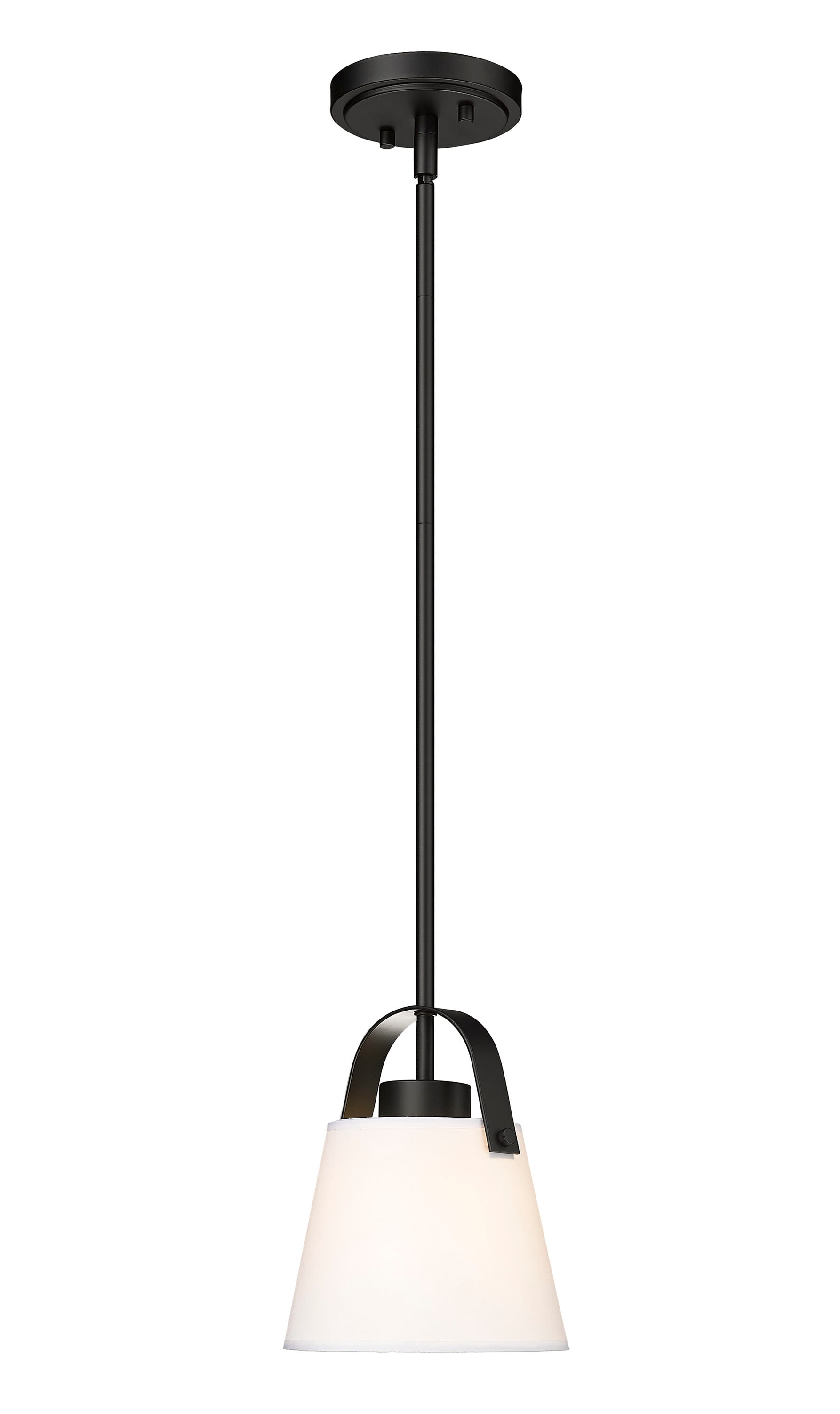 Z-Lite 743P8-MB Pendant-Lights - View #4