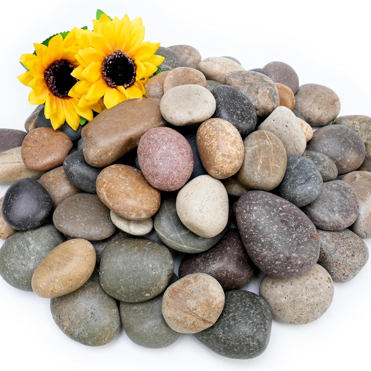 FANTIAN 6 lb Natural Mexican Beach Pebbles 2-3 Inch Smooth River Rocks for Landscaping Planters Aquariums and Fountains