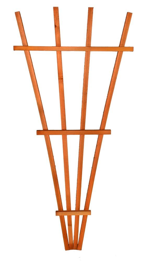 Garden Architecture 4-Pack 4 Ft. Fan Trellis Brown Stained at Lowes.com