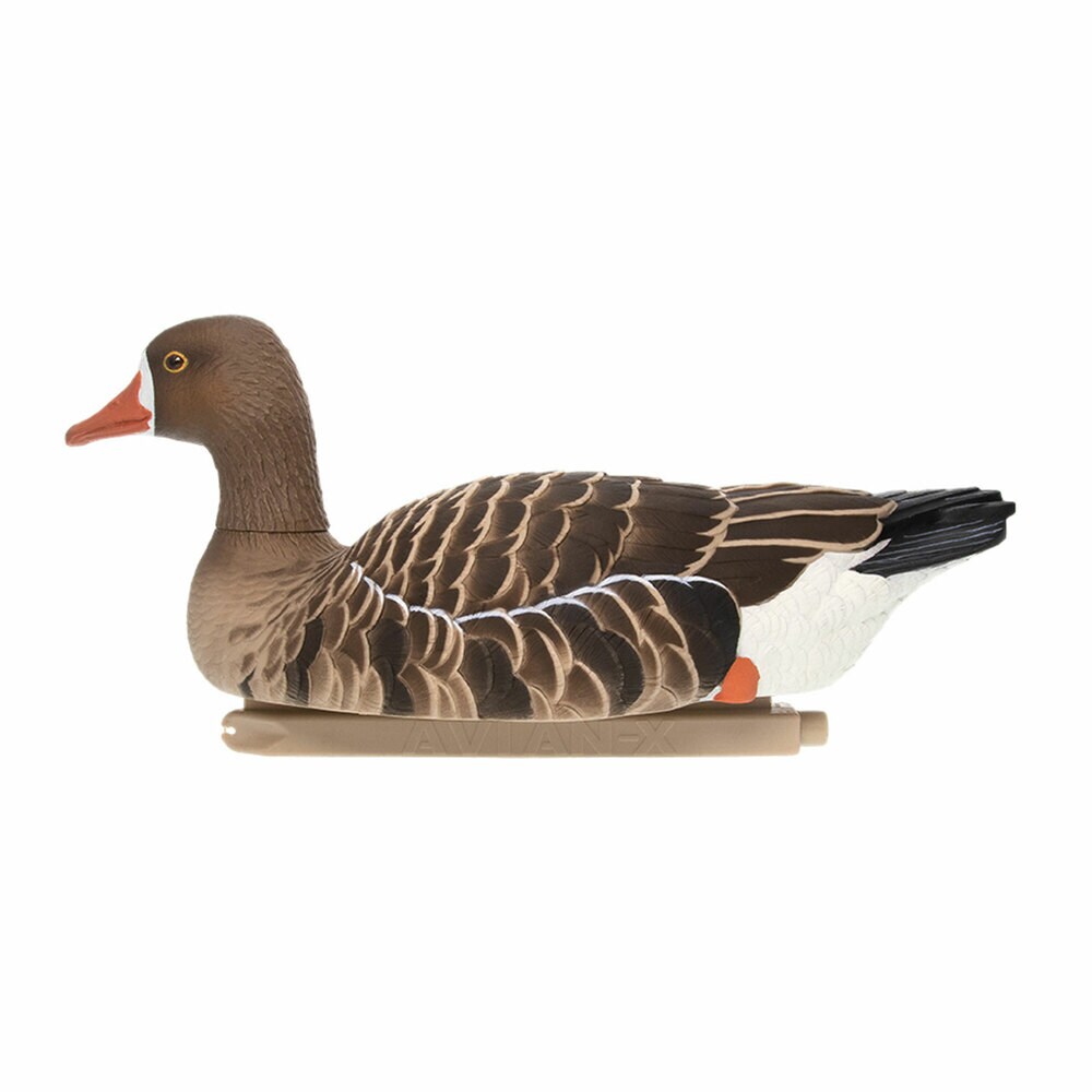  Avian X 408515 Hunting-Equipment - View #11