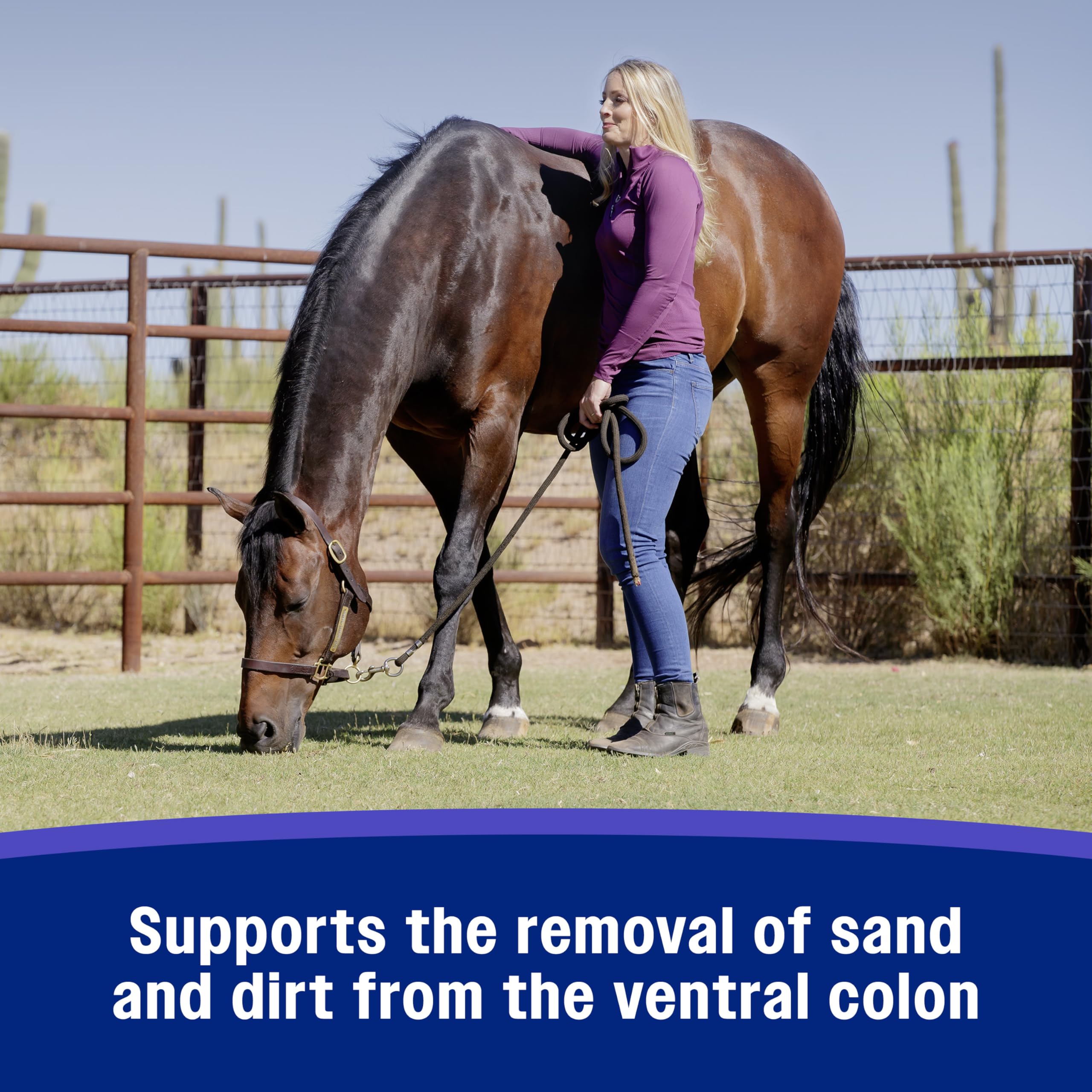 Farnam 272413 Livestock-Feed-Supplements - View #9
