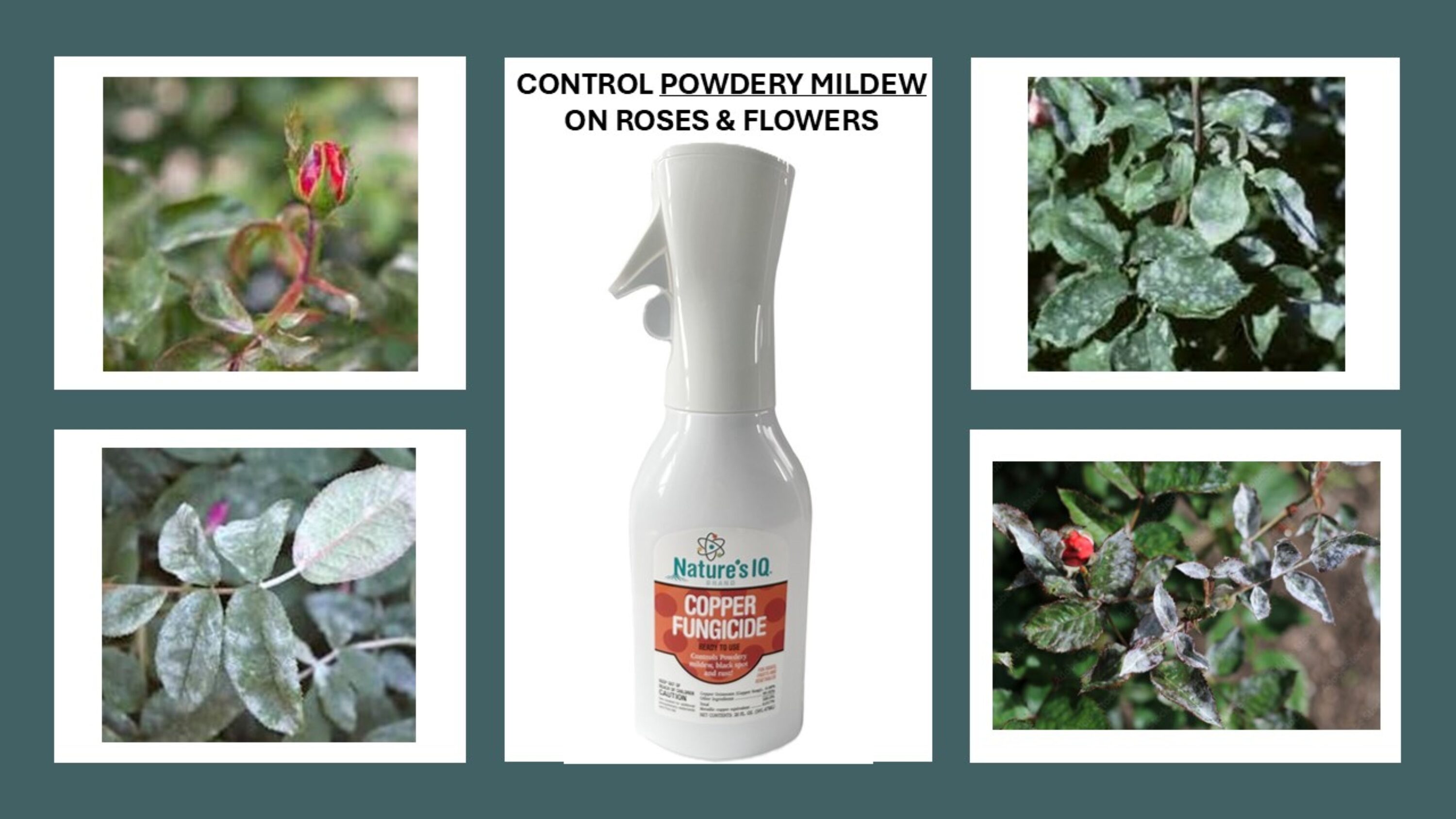 Nature’s IQ 93318 plantcare - View #6