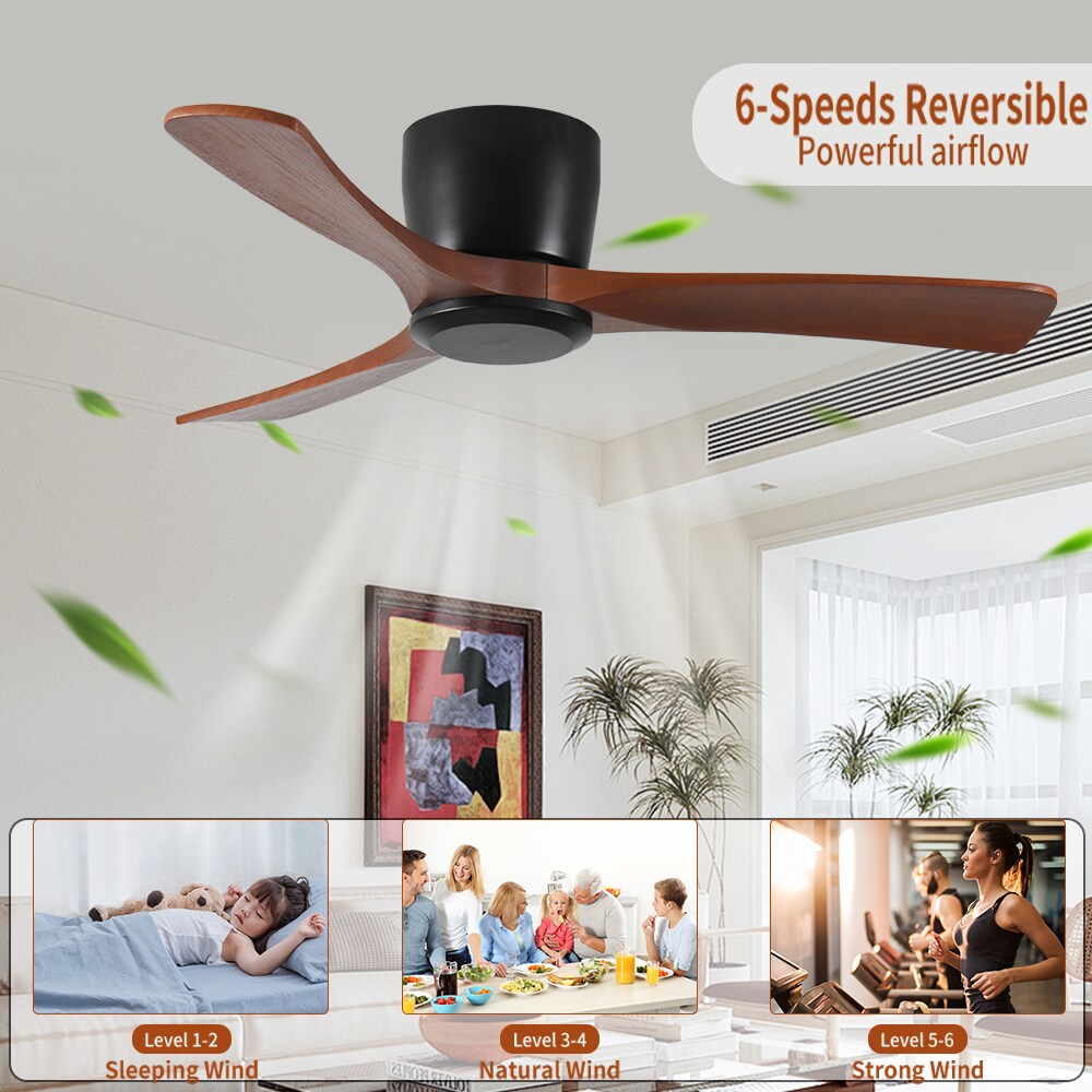 Duclsaty ZYS029 Ceiling-Fans - View #4
