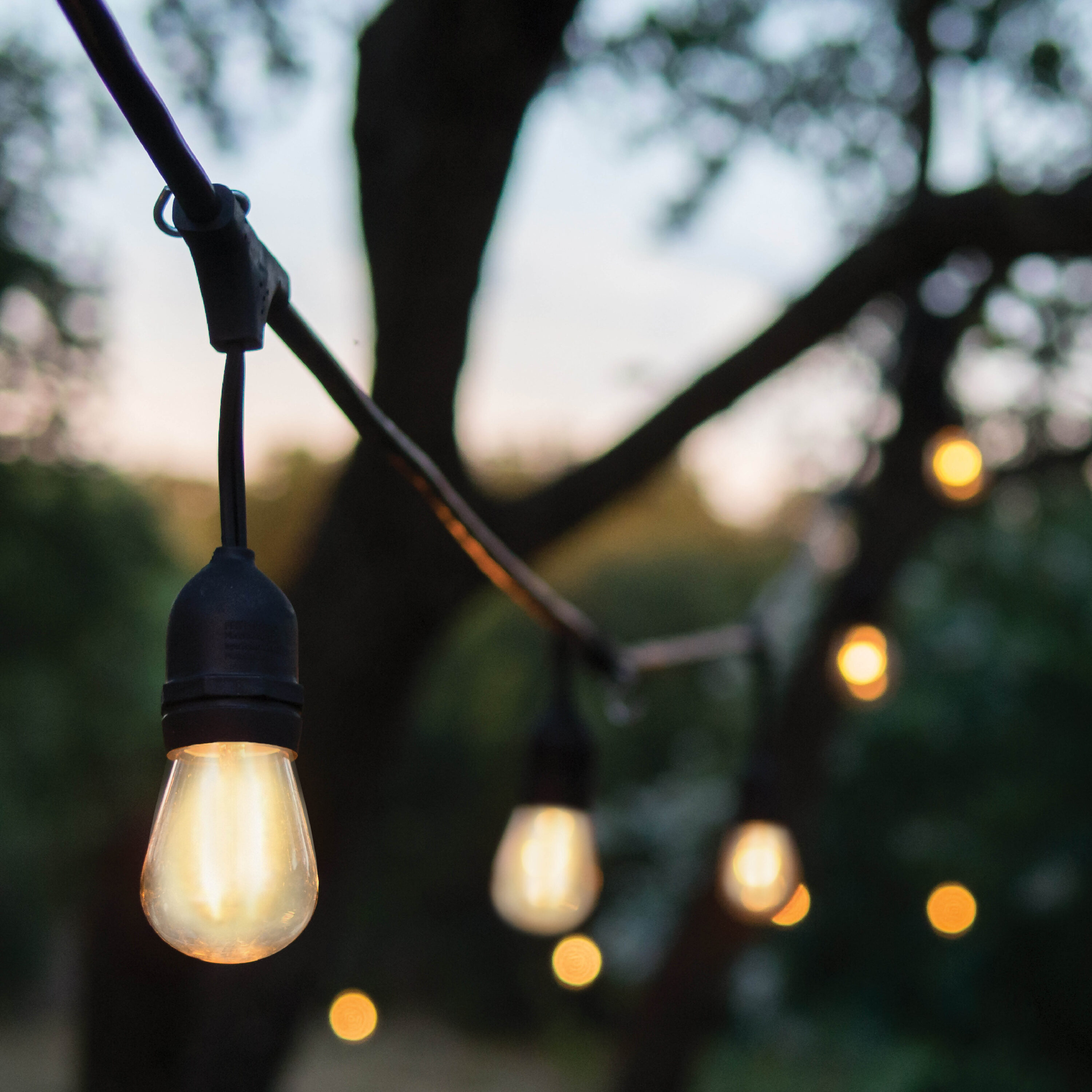 Westinghouse 40030 Patio-String-Lights - View #6