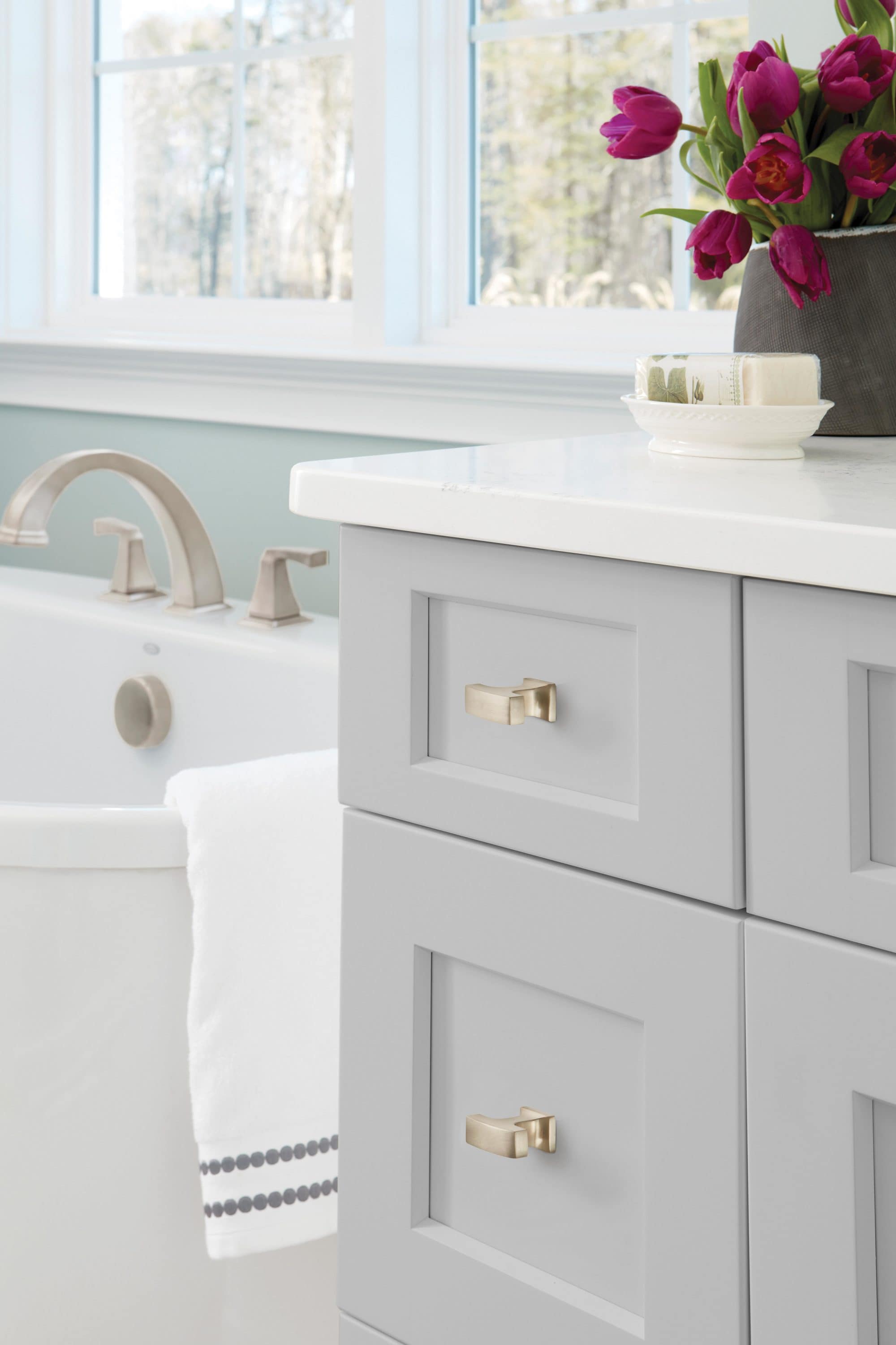 Brushed Nickel T-Handle Cabinet Knob with Mounting Hardware