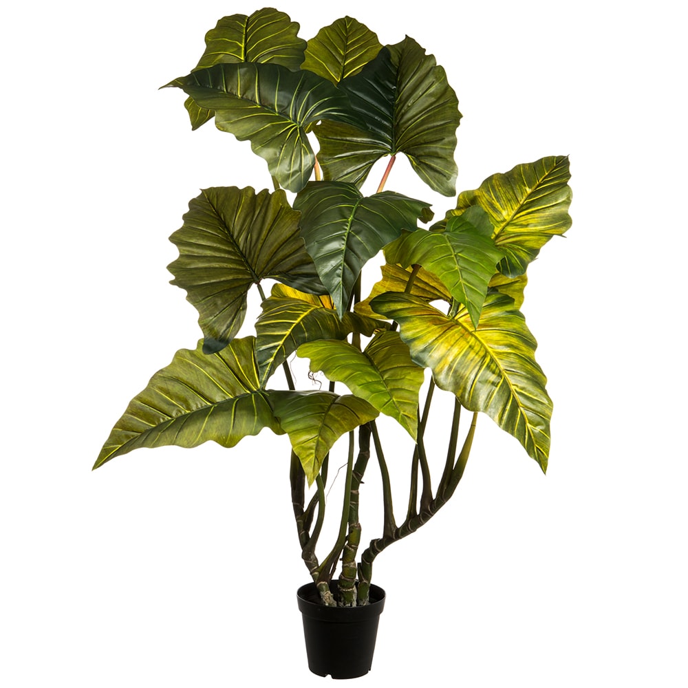 Allstate Floral LPP069-GR 69-in Green Indoor Floor Philo Artificial plant
