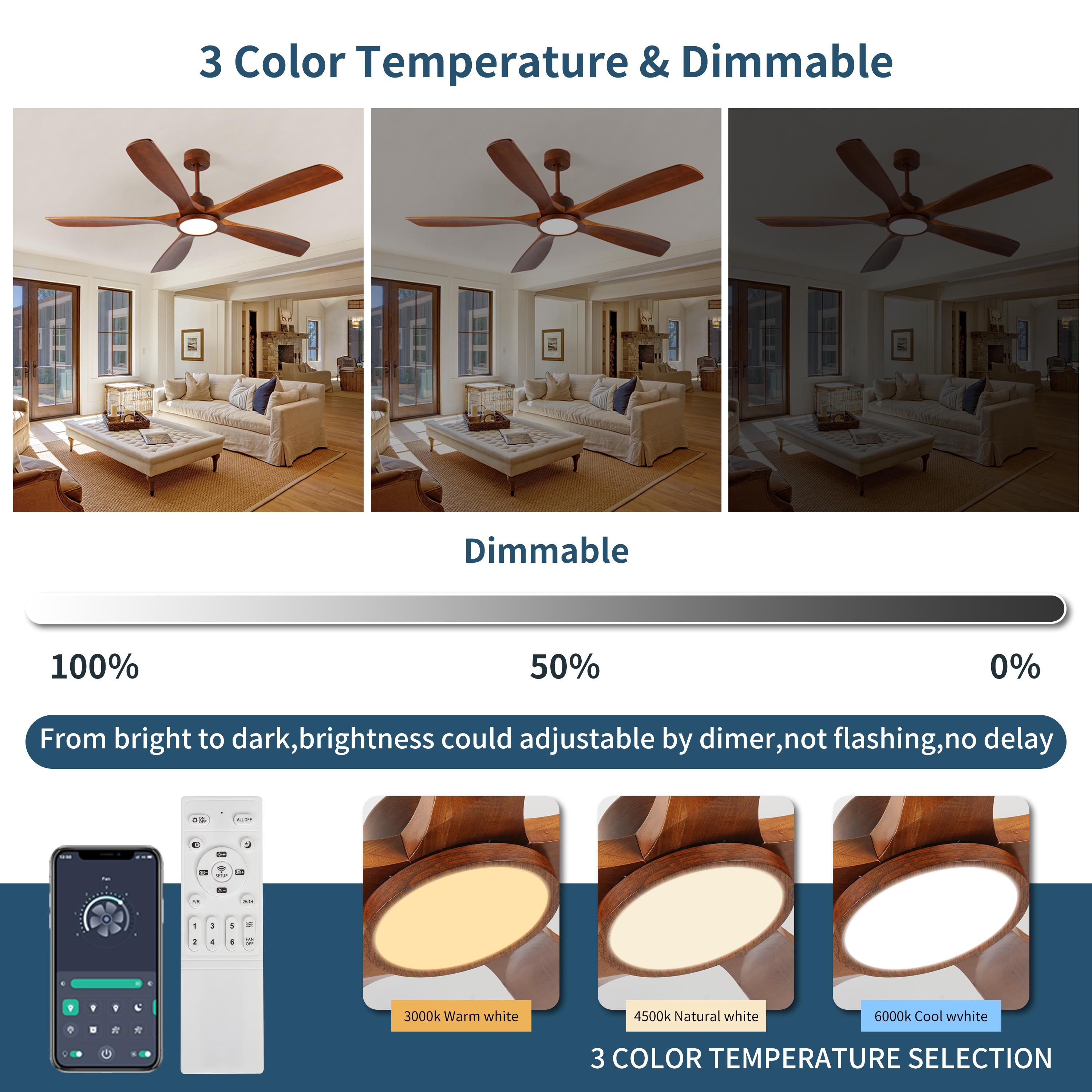 Bayfeve BFHC-16286-CF Ceiling-Fans - View #5