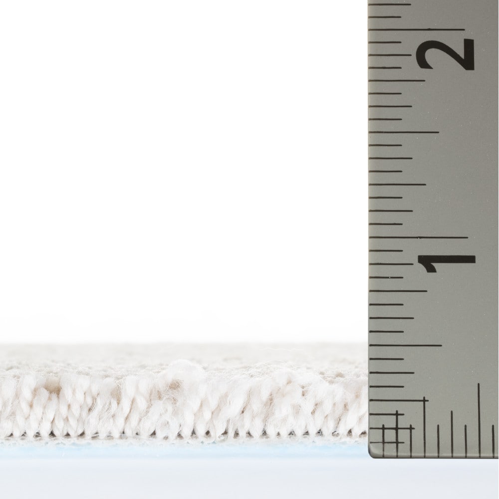 STAINMASTER PetProtect 7L94700116 Carpet-Panel - View #7
