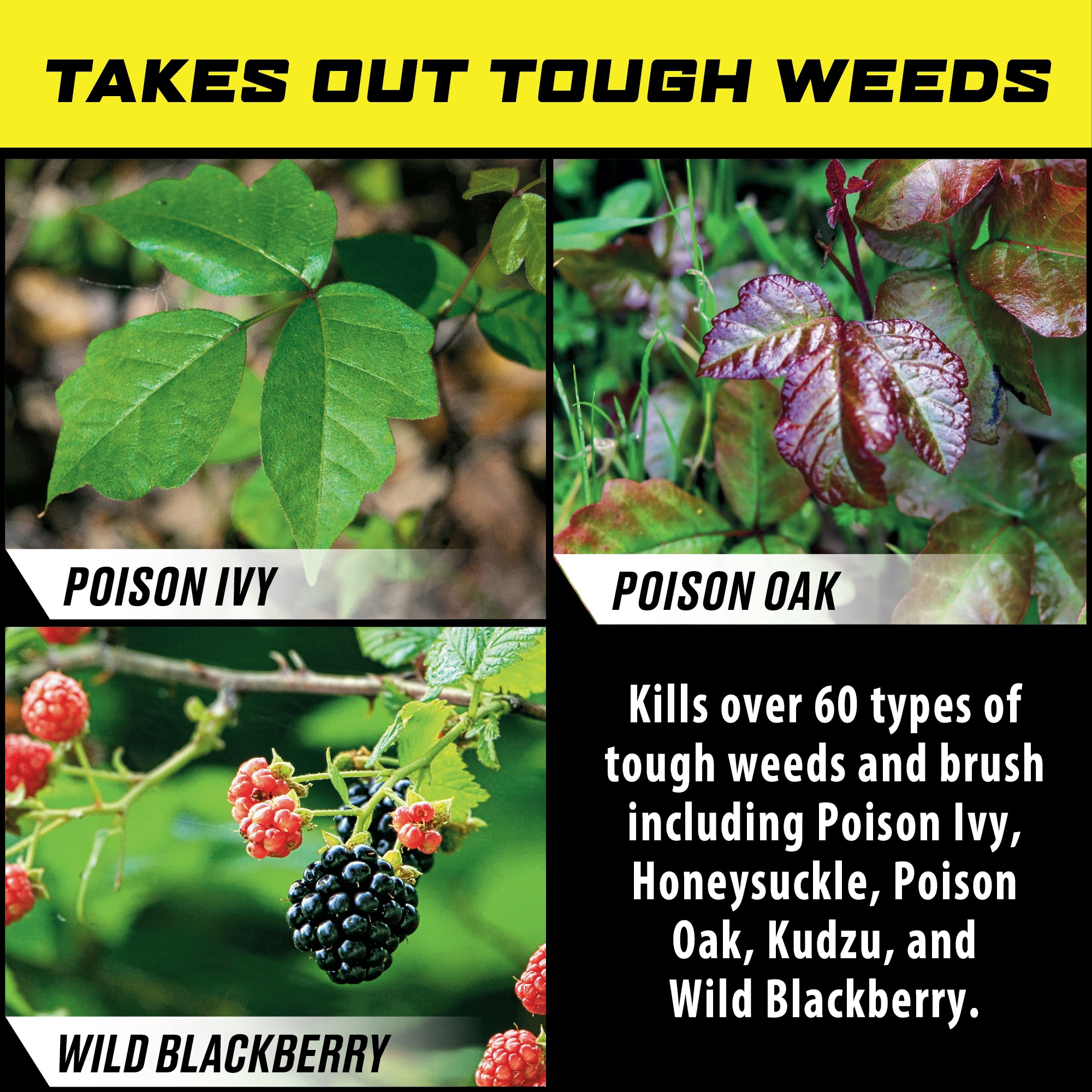 ORTHO 0475705 Weed-Killers - View #4