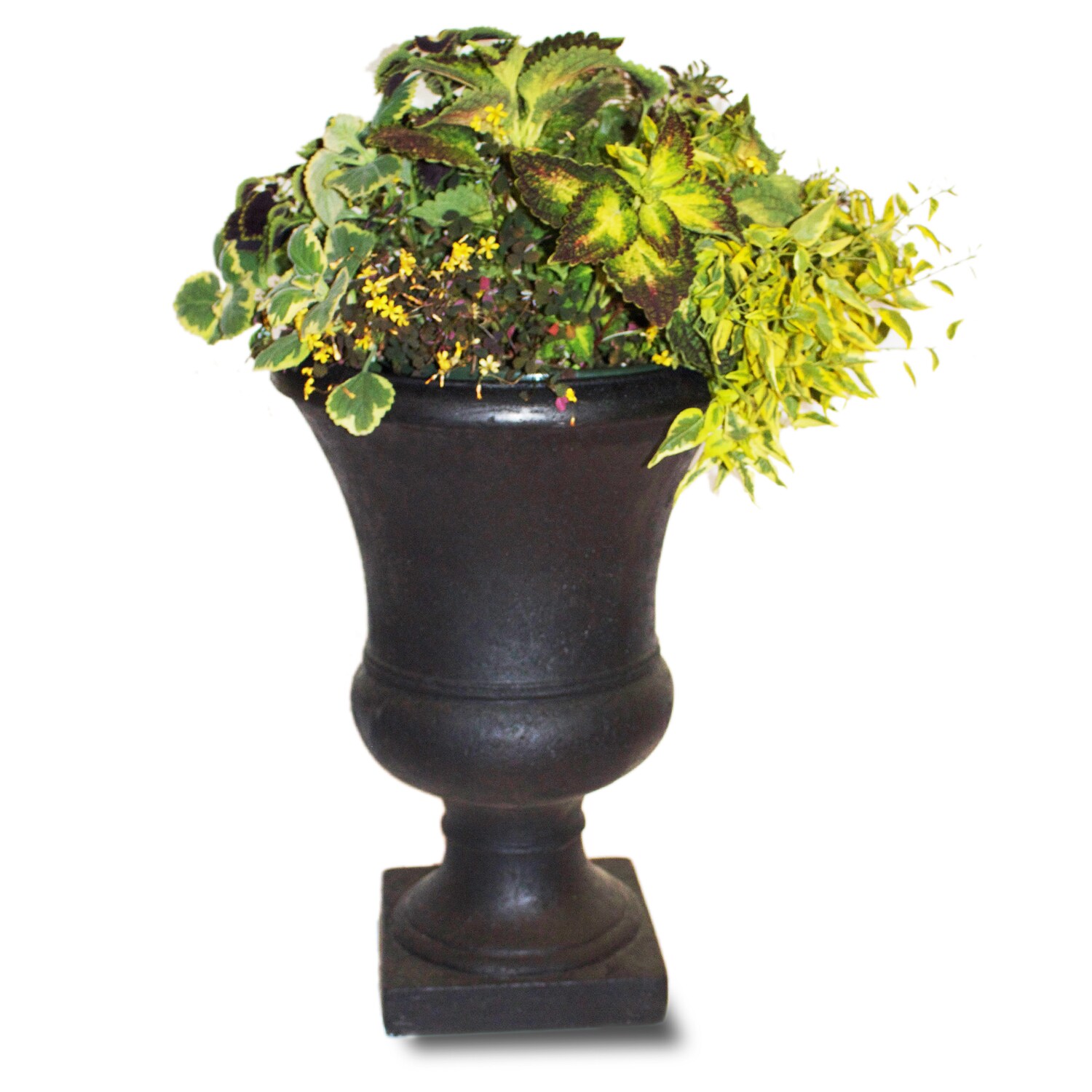 allen + roth 2091476B Planter-Window-Box - View #6