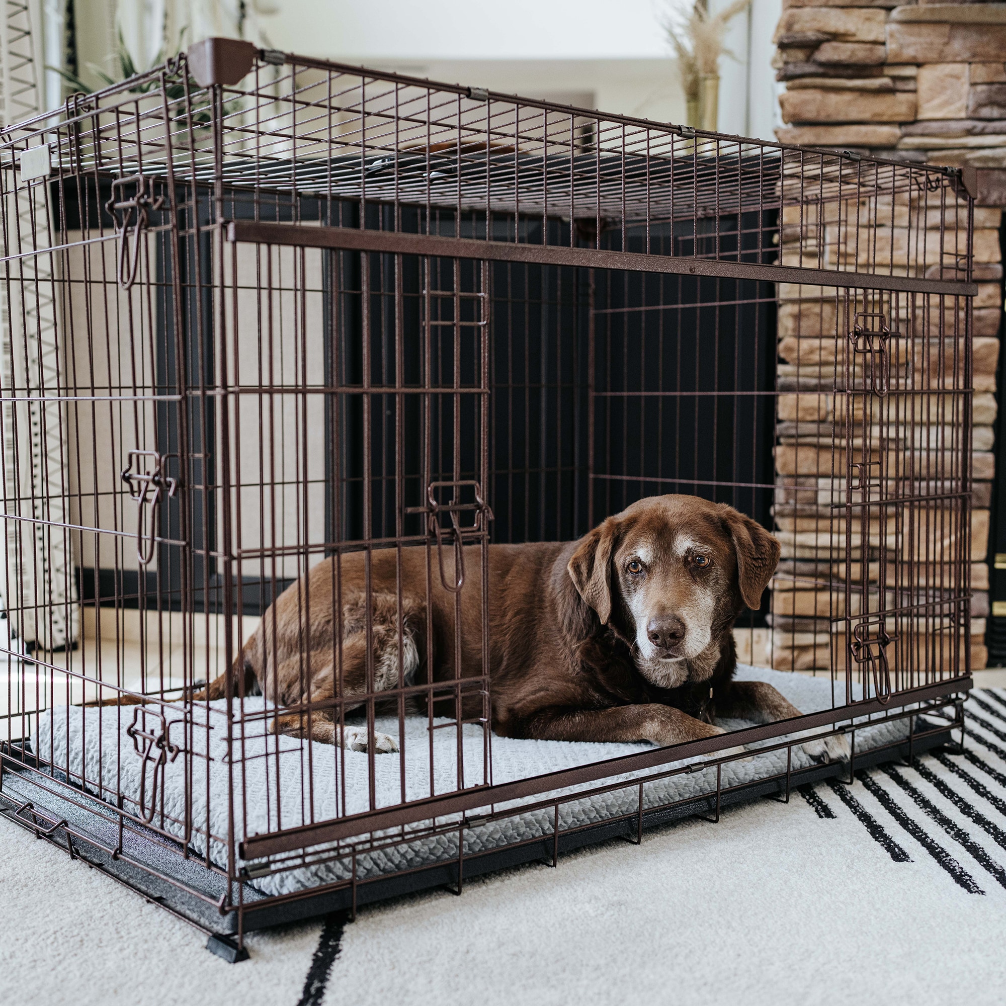 Lucky Dog ZW51542-UR1510 Pet-Crates-Carriers - View #10