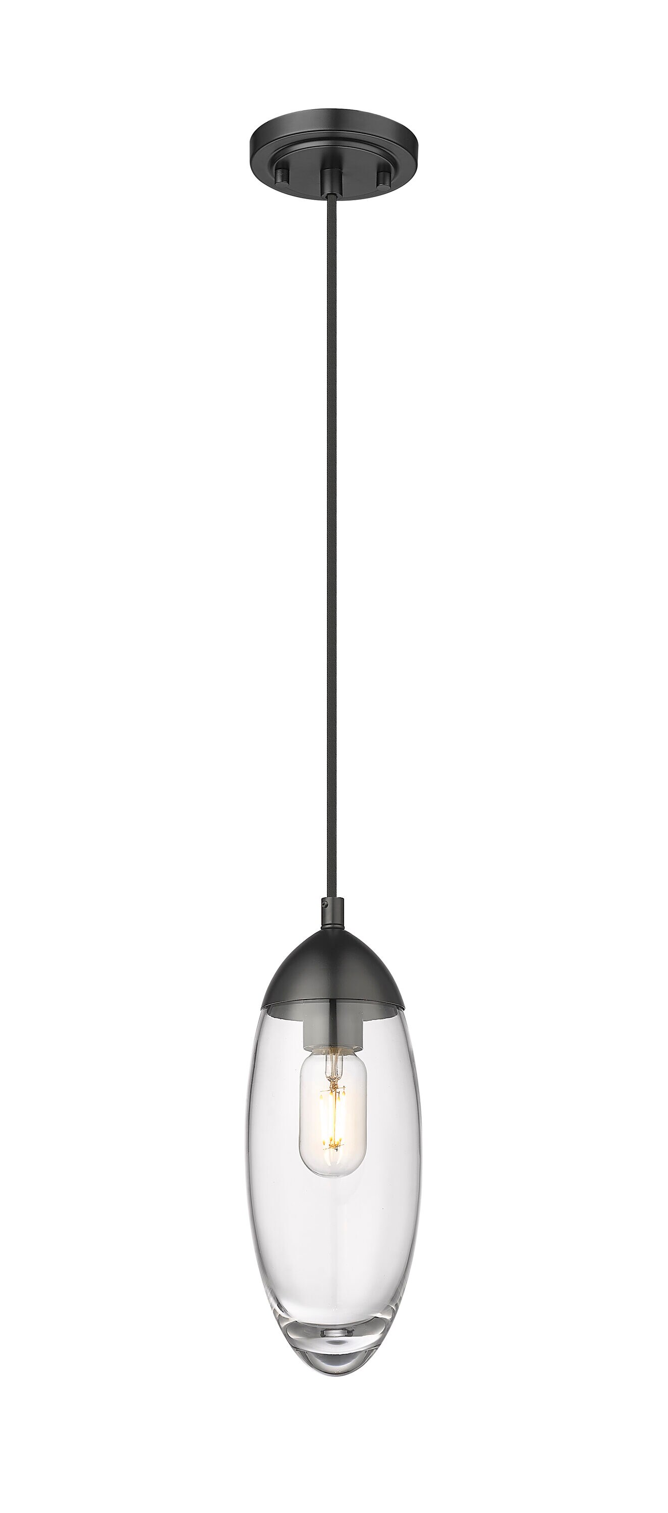 Matte Black Glass and Nickel Indoor/Outdoor Pendant Light
