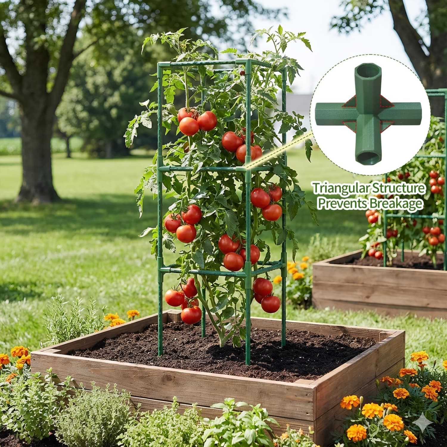 Angel Sar L2ZQYA506TOM03 Tomato-Cages - View #5