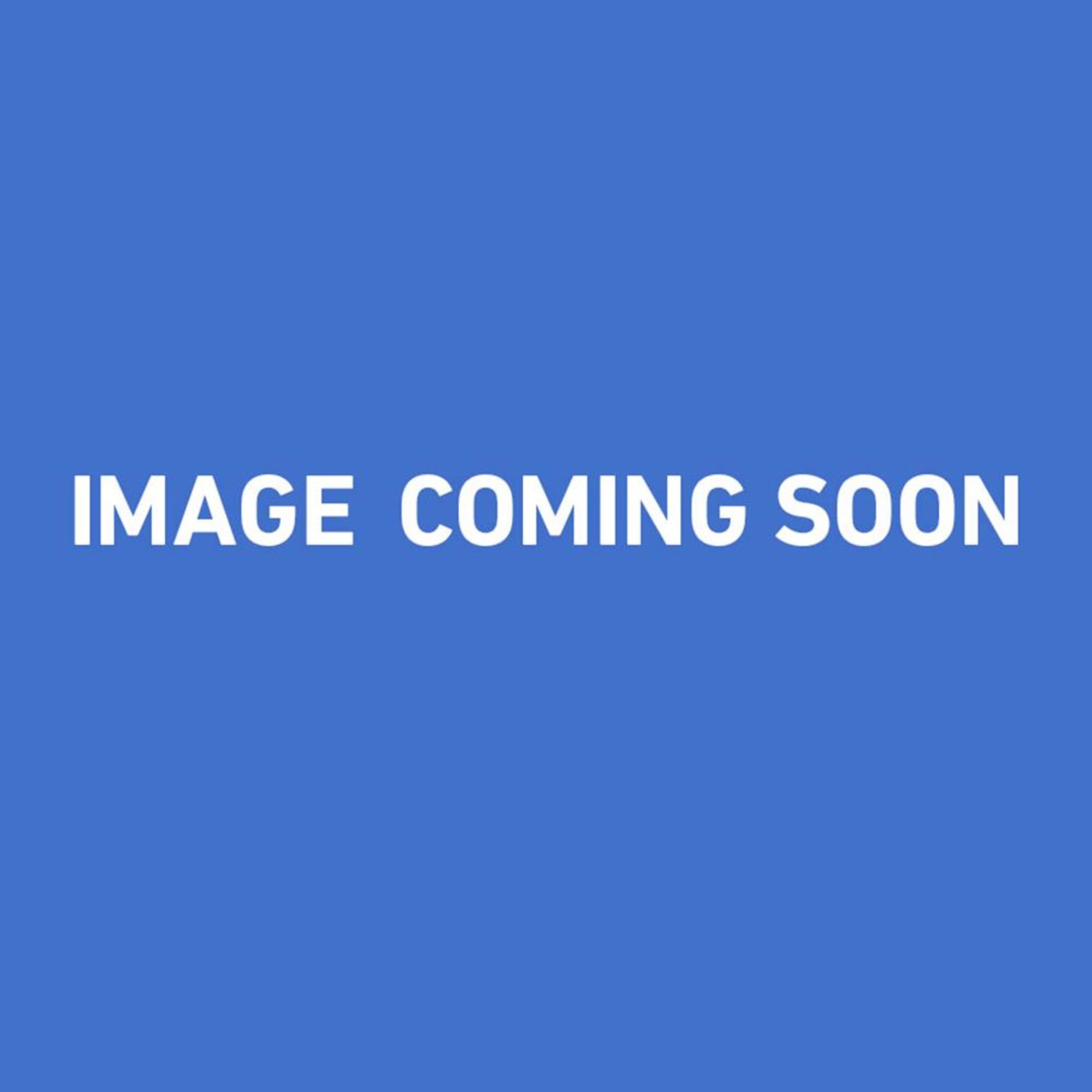 STAINMASTER SM1006-5619144 Performance Satin Pumice Stone Tintable Acrylic Interior Paint + Primer (1-Gallon)