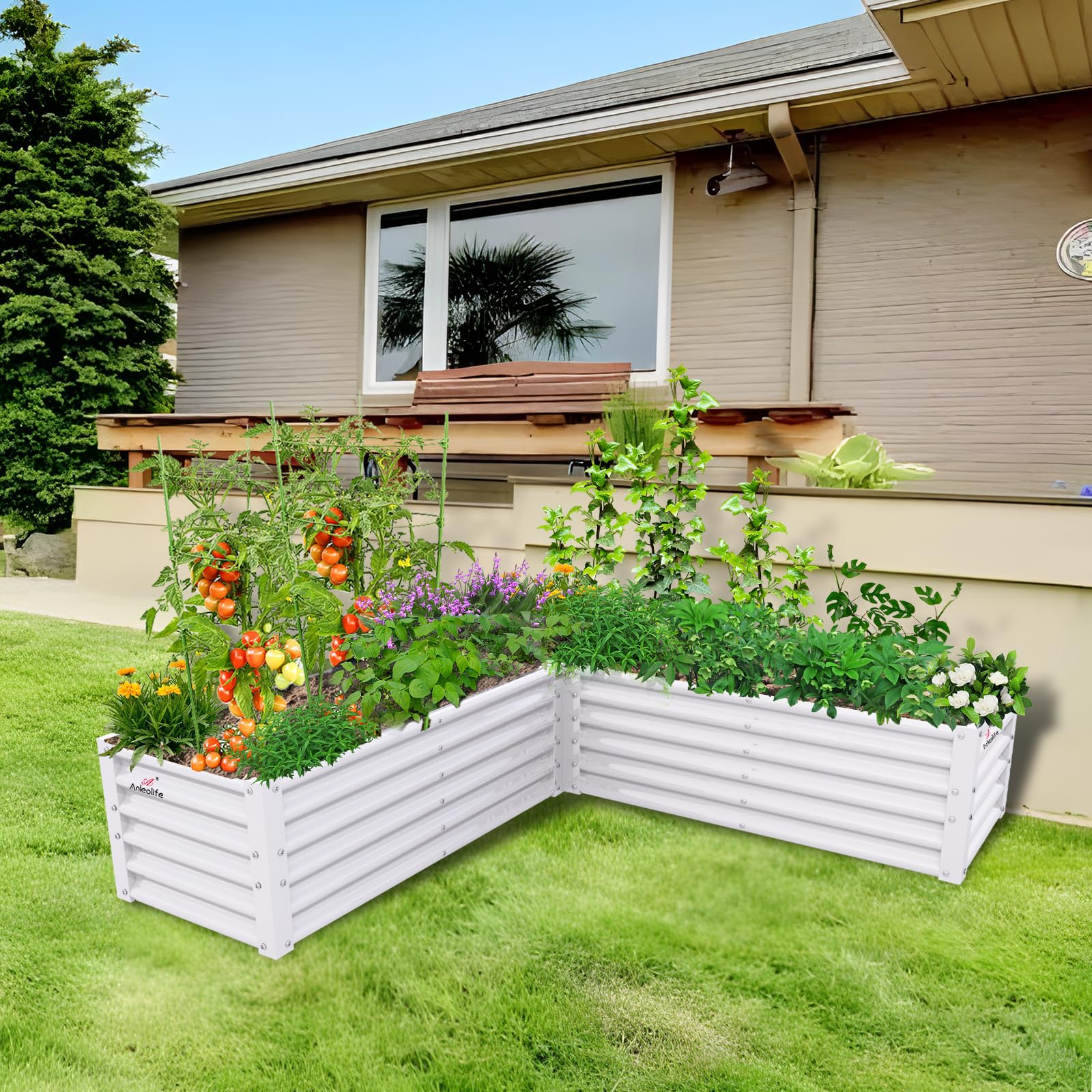 Damerin W218RA Raised-Garden-Beds - View #5
