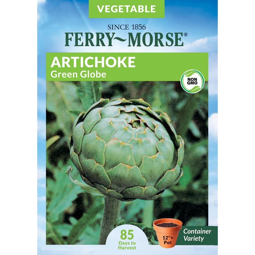 Ferry Morse 500 Milligram S Artichoke Green Globe Vegetable Seed Packet In The Vegetable Herb Seeds Department At Lowes Com