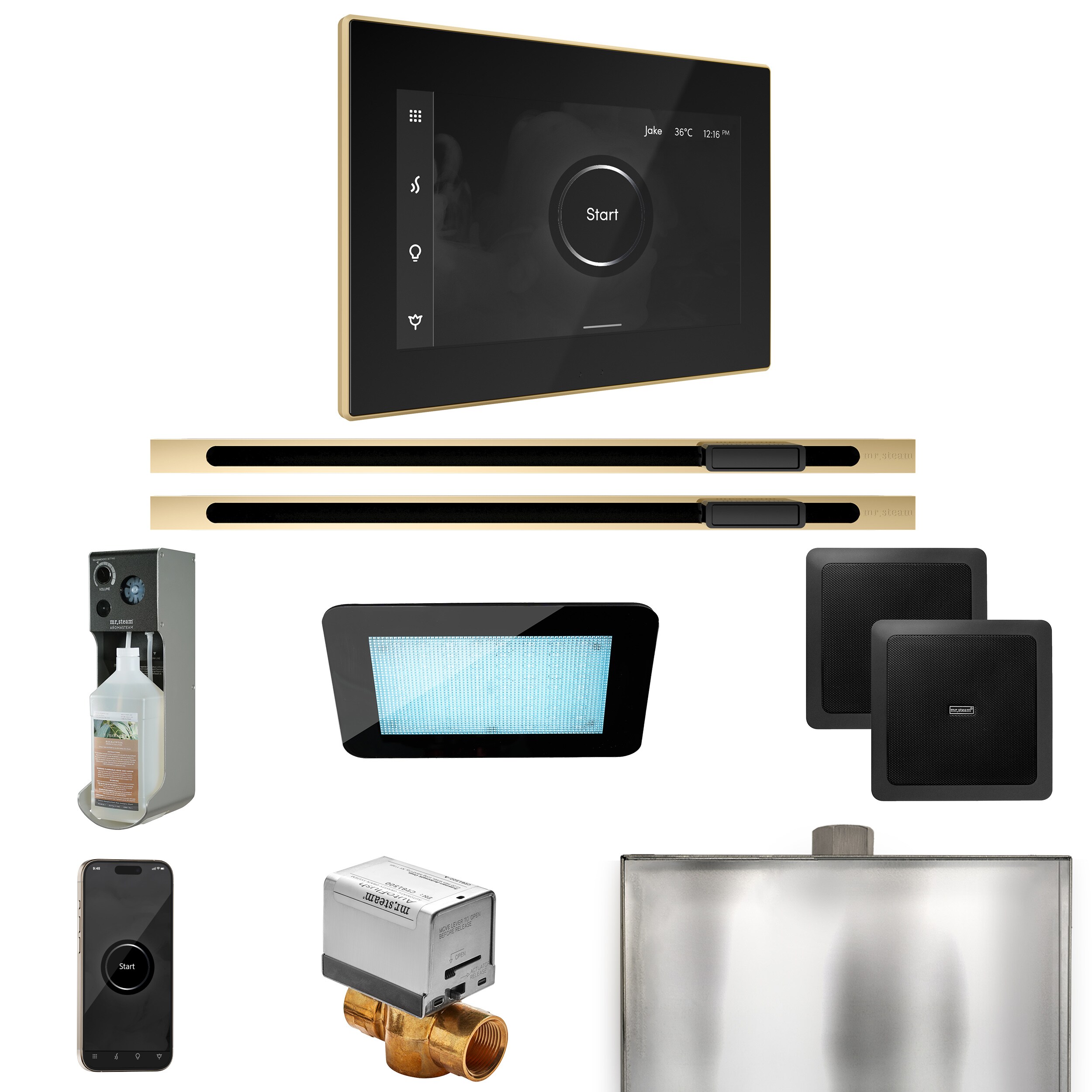 Mr. Steam XDRM2BKXLPB XDream Black - Polished Brass Steam Generator Control Kit