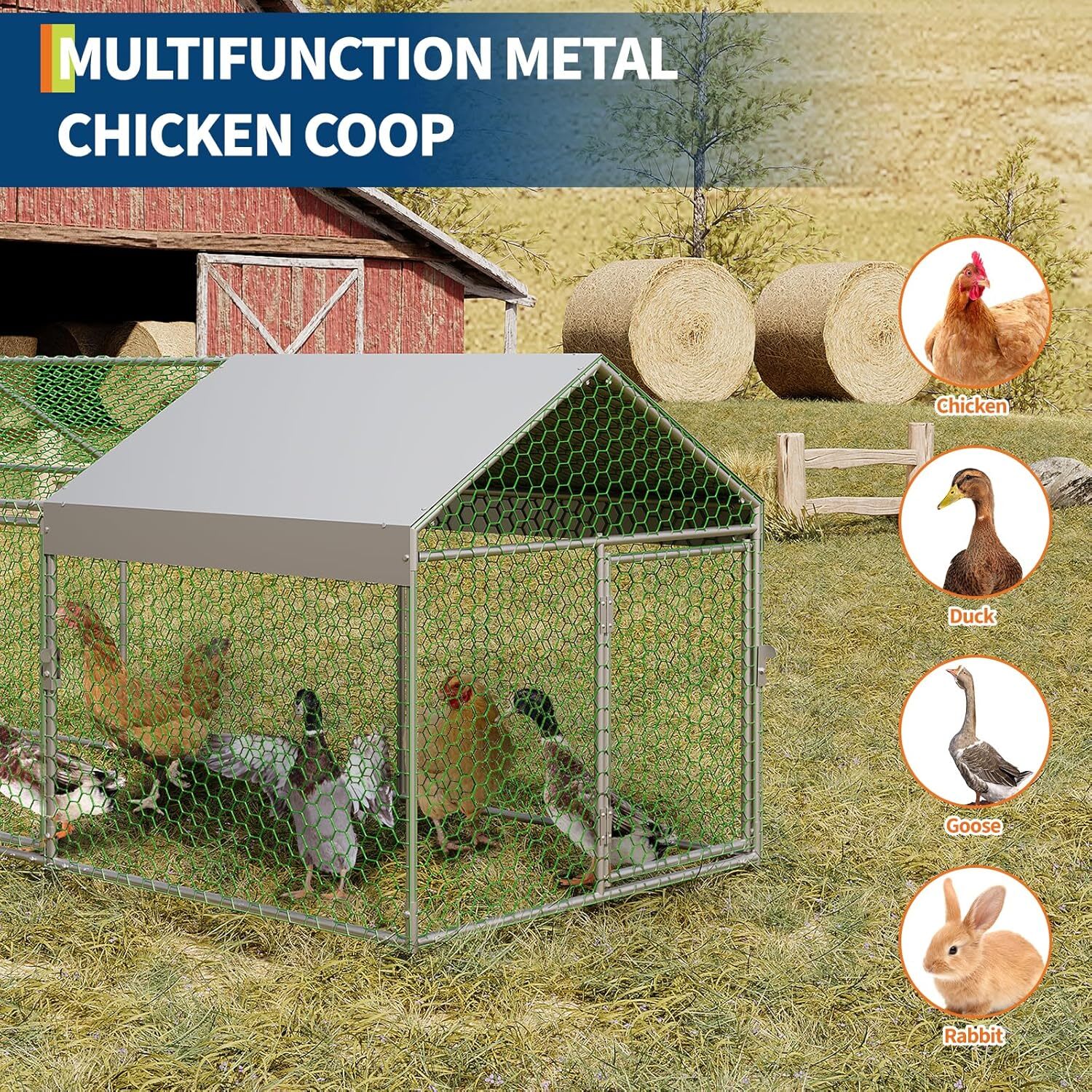 Qeetex GGL-PPG-33EVVS4A Chicken-Coops-Rabbit-Hutches - View #4