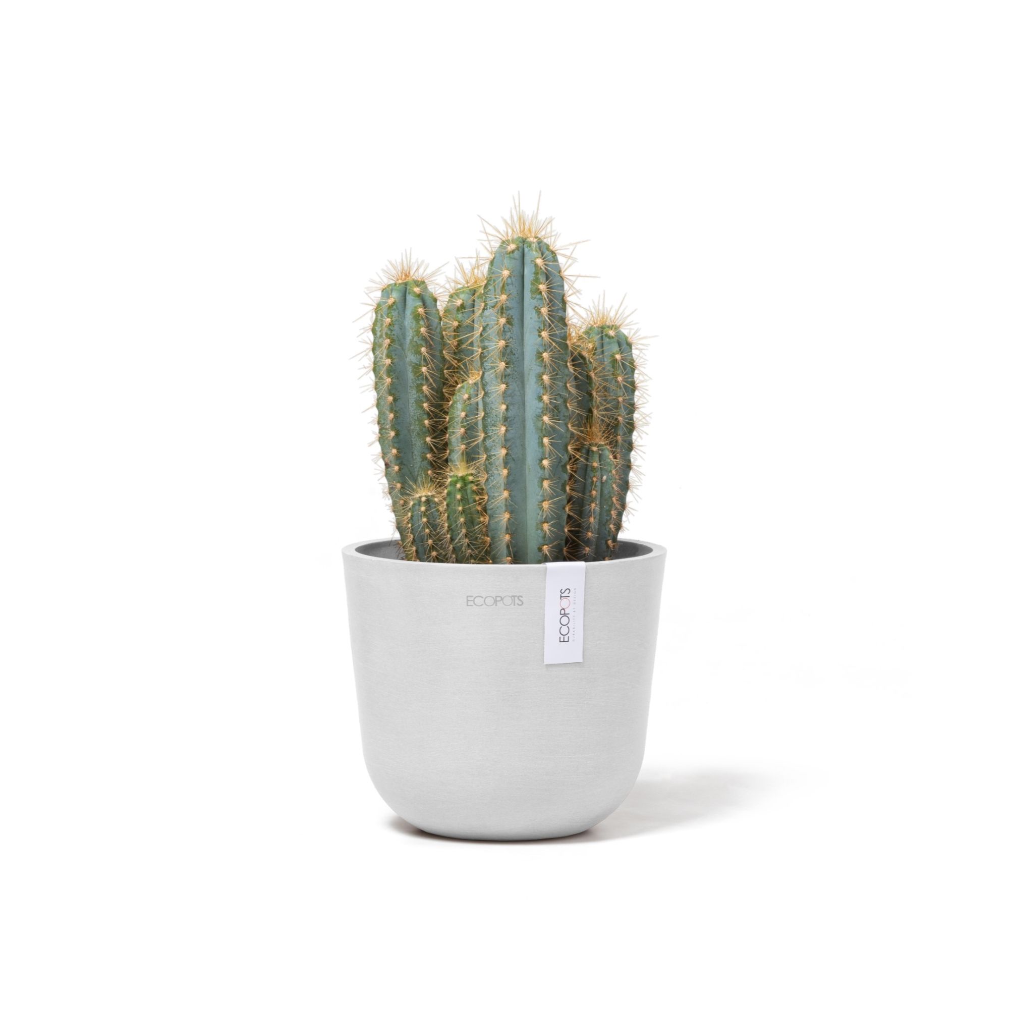 ECOPOTS 5413724325451 Planter-Window-Box - View #4