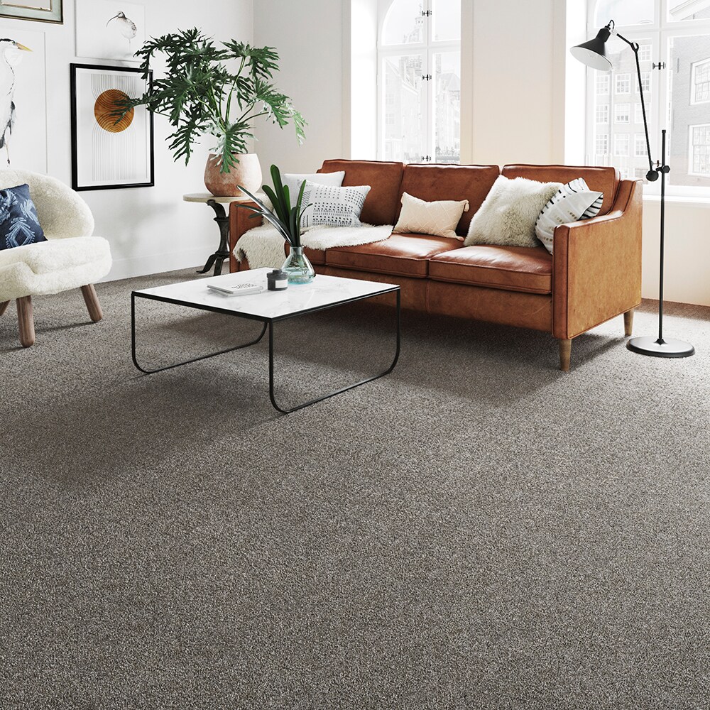 STAINMASTER STP58-L007-0808 Carpet-Samples - View #3