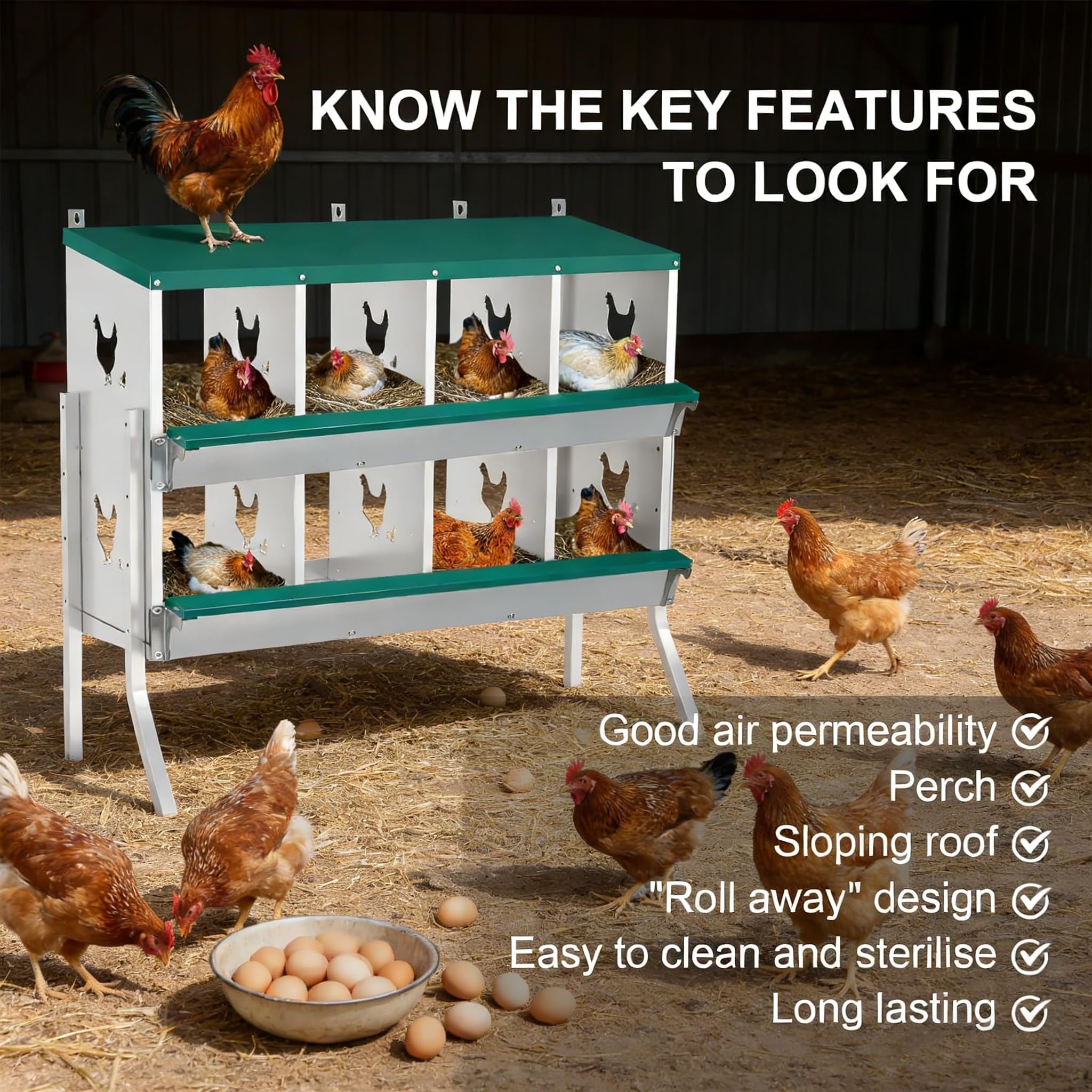 DEXSO ENCOREPPGBA9821 Chicken-Coops-Rabbit-Hutches - View #8