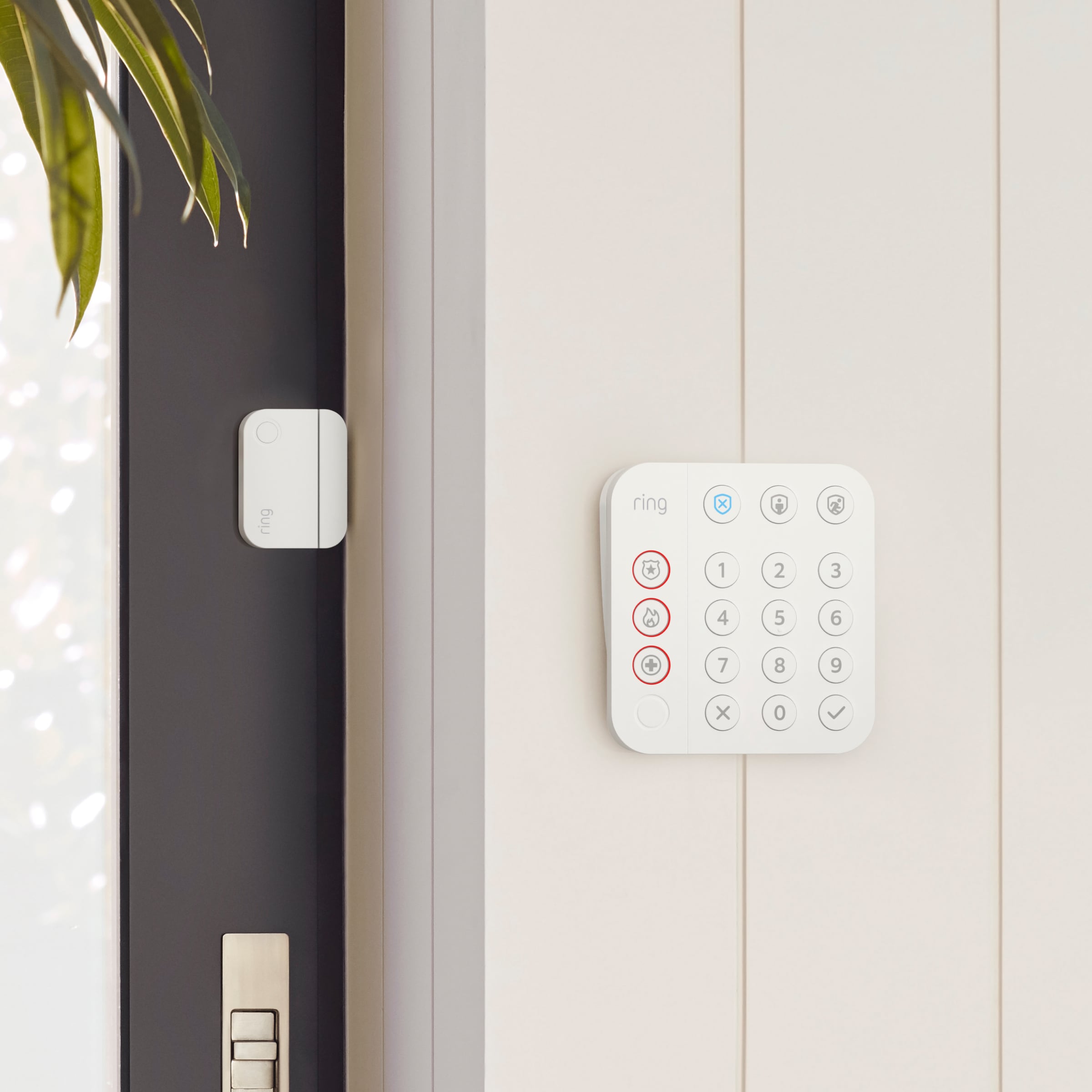 Ring Alarm Security System Cost & Pricing Plans