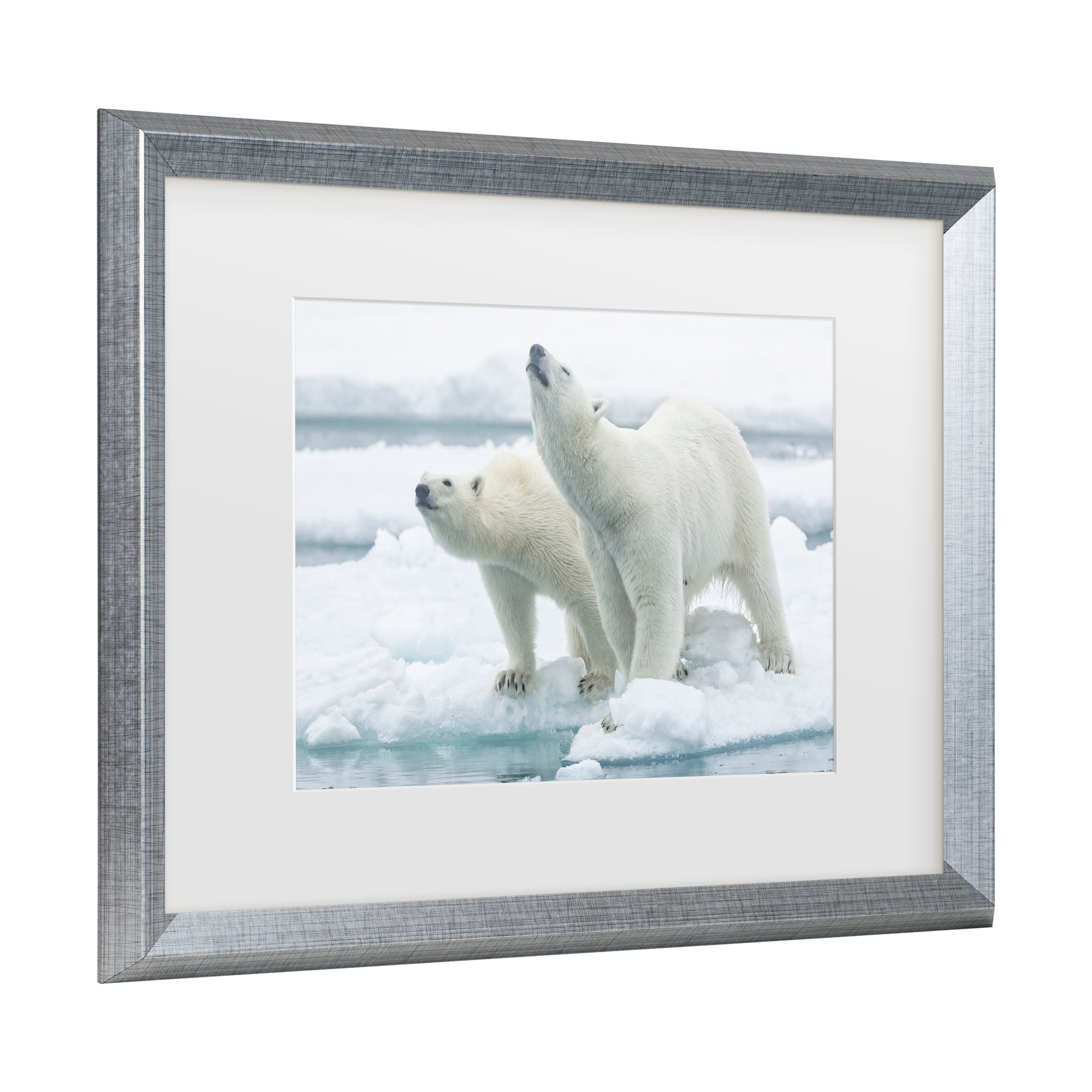 Trademark Fine Art 1X10917-S1620MF Wall-Art - View #3