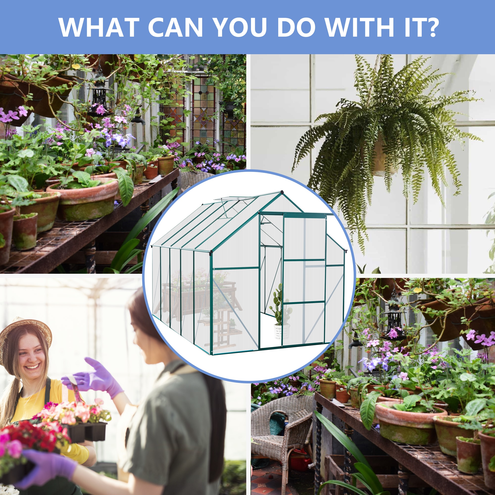 Clihome CL-WC54S03 greenhouses - View #5