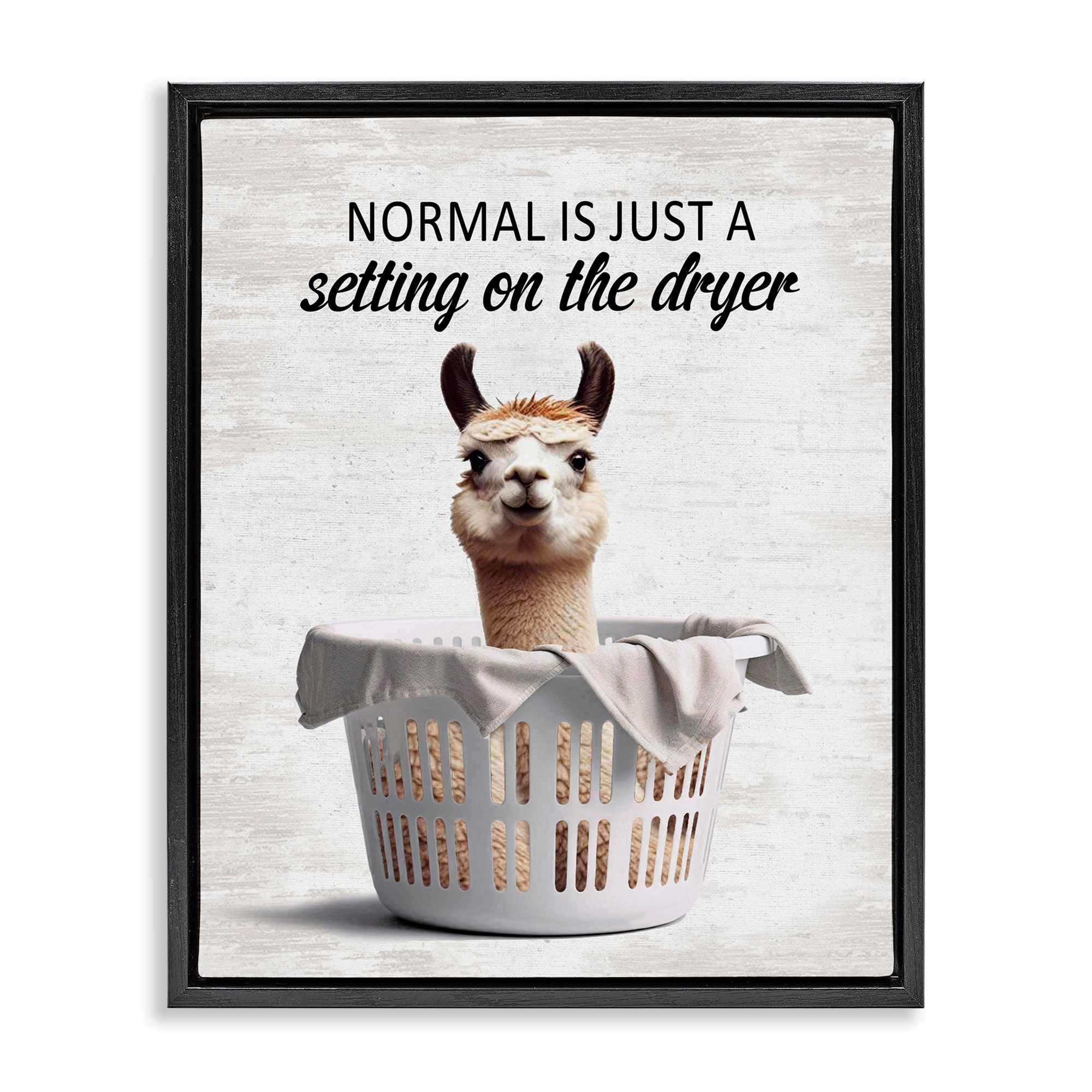 Stupell Industries BS-855-FFB-16X20 Funny Normal Dryer Quote Black Framed Floater Canvas Wall Art By Lettered and Lined 17 x 21