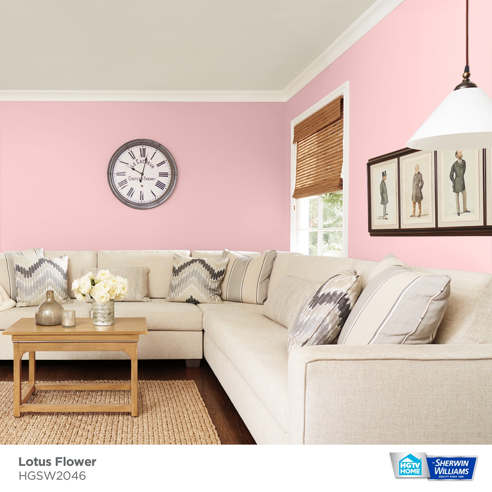 HGTV HOME by Sherwin-Williams HGSW2046 Paint-Samples - View #3