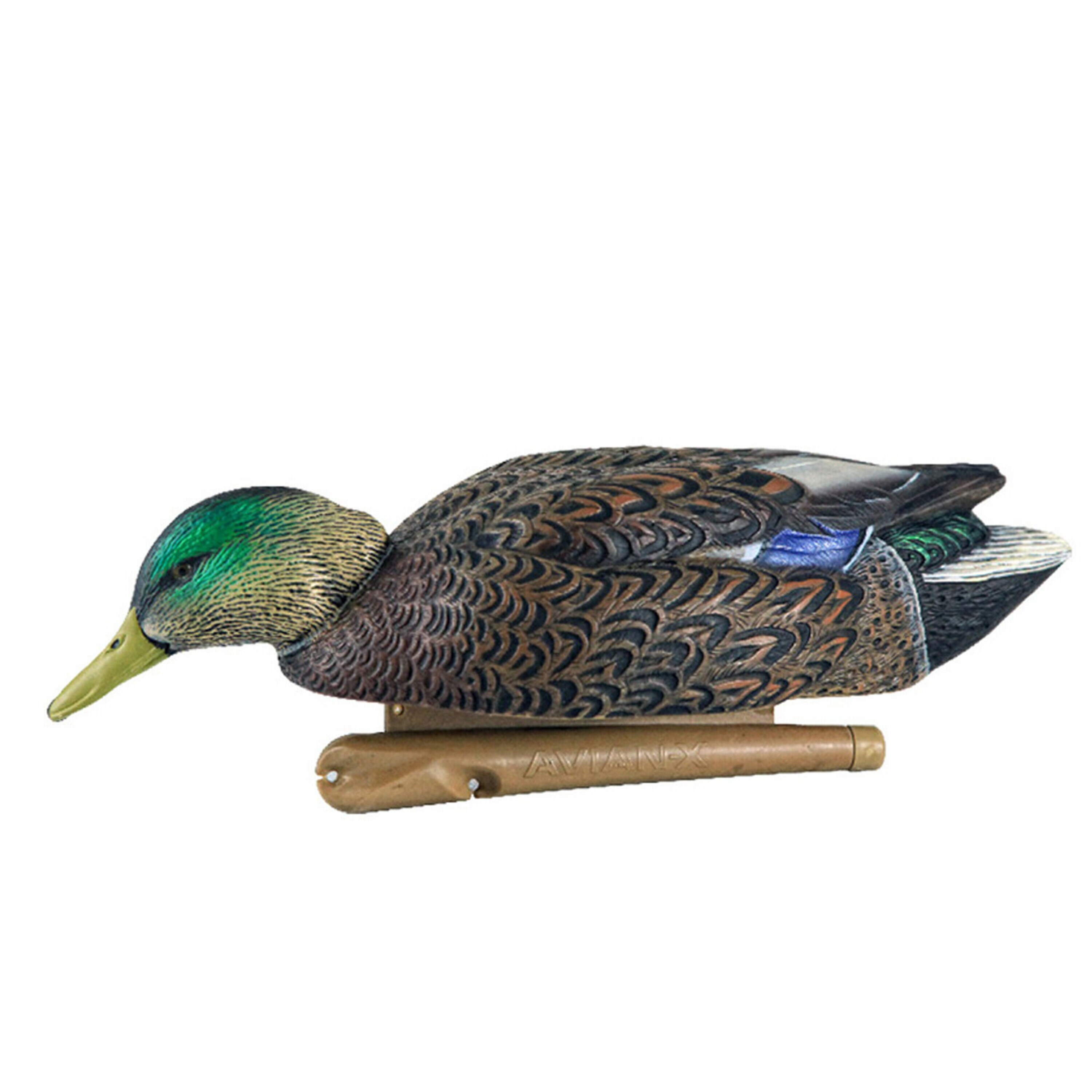 Avian X 399261 Hunting-Equipment - View #9