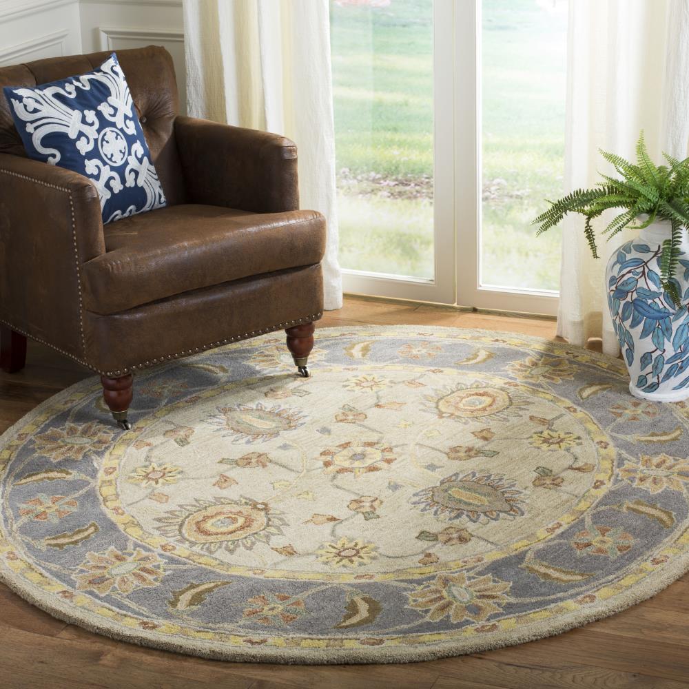 Safavieh AN561A-6R rugs - View #2