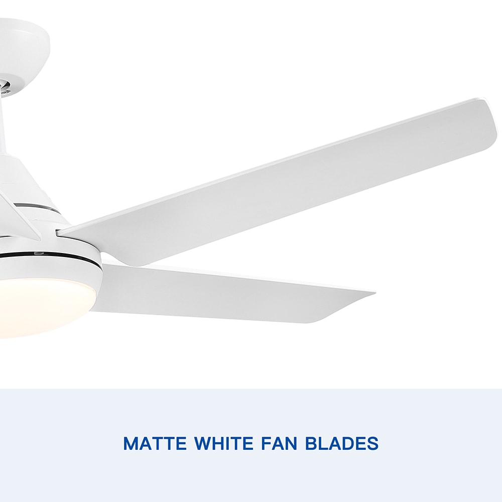 Sunrinx CF-21-DS Ceiling-Fans - View #6