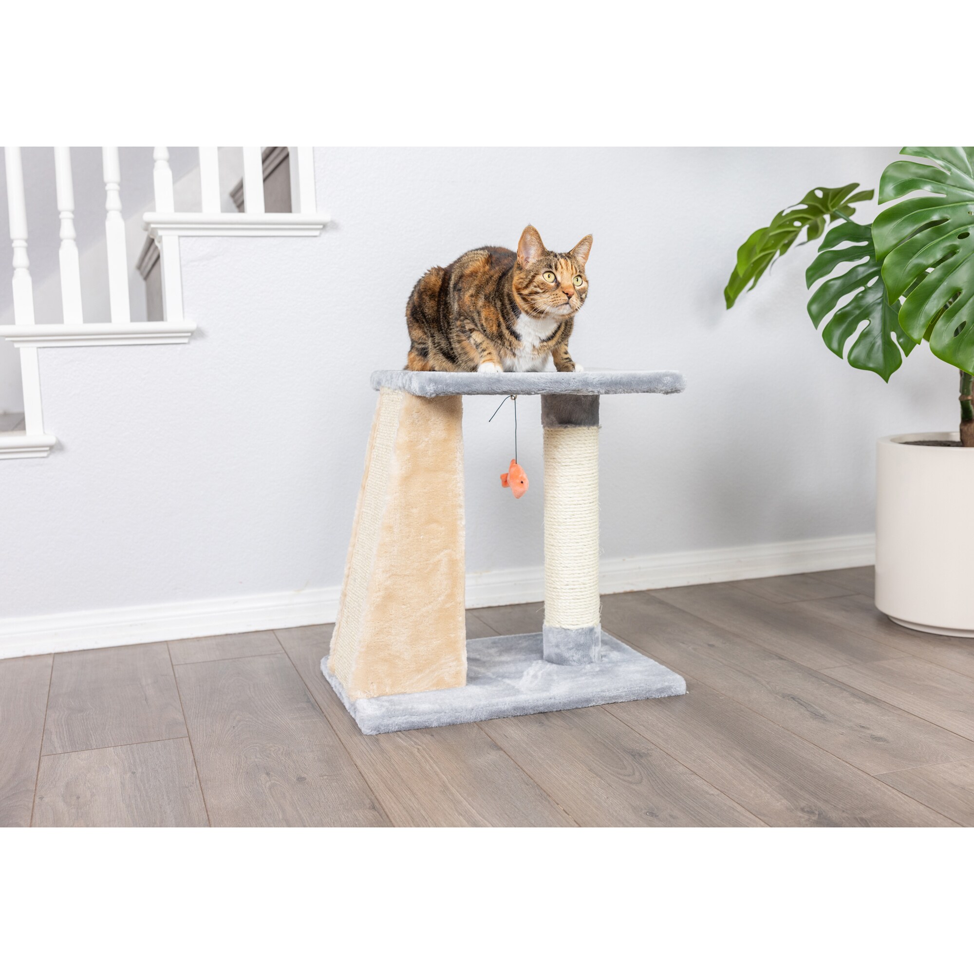 Gray and Beige Sisal Carpet Two-Level Cat Scratcher