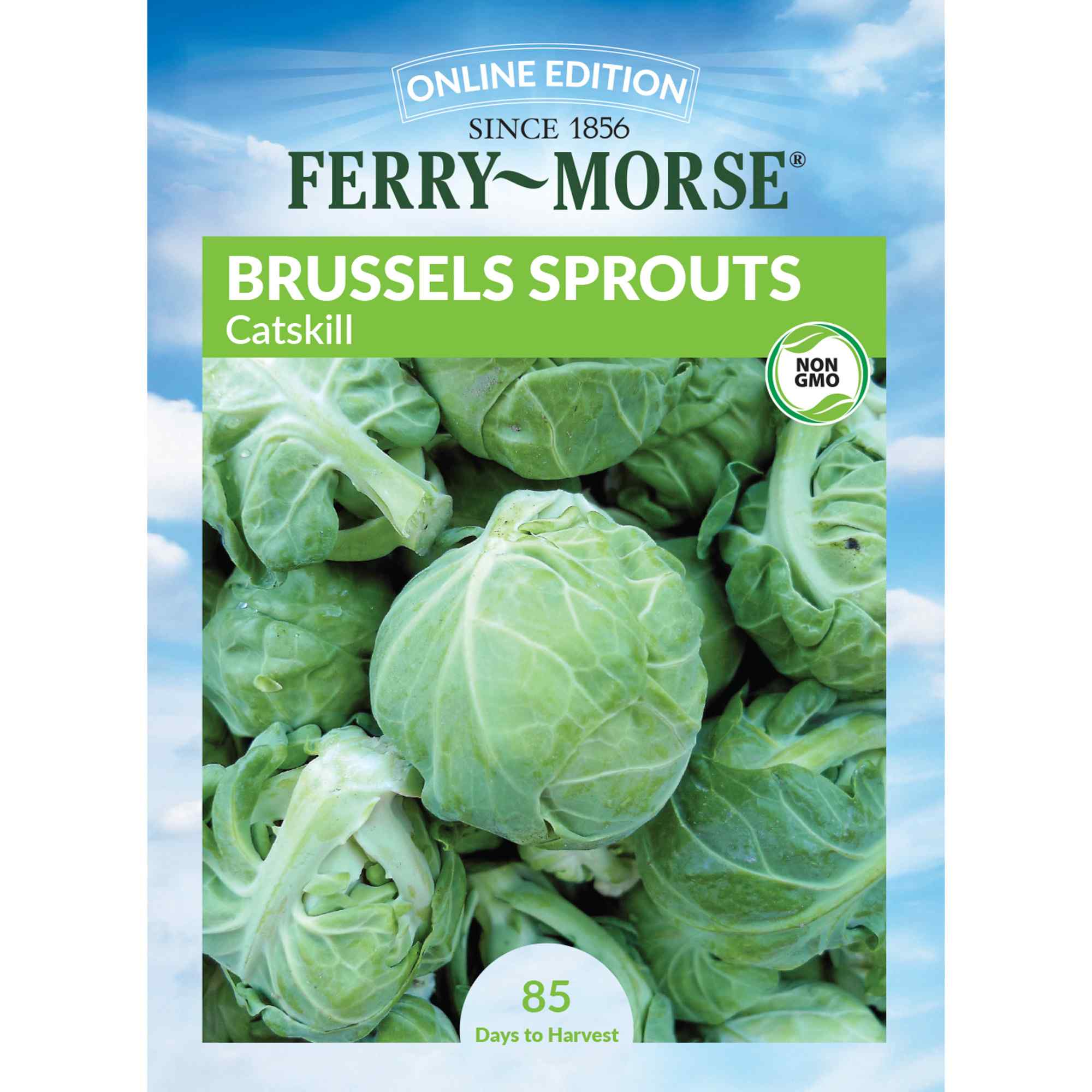 Ferry-Morse LC25.4078 Brussel Sprouts Seeds 1.6 Gram(s)