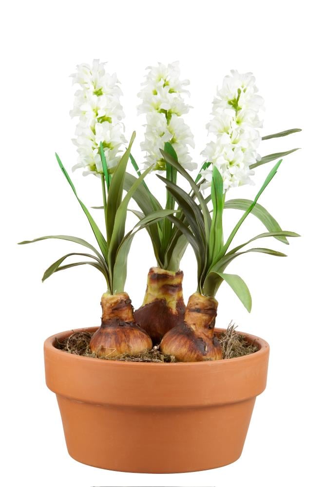Pennington 10520 Planter-Window-Box - View #2