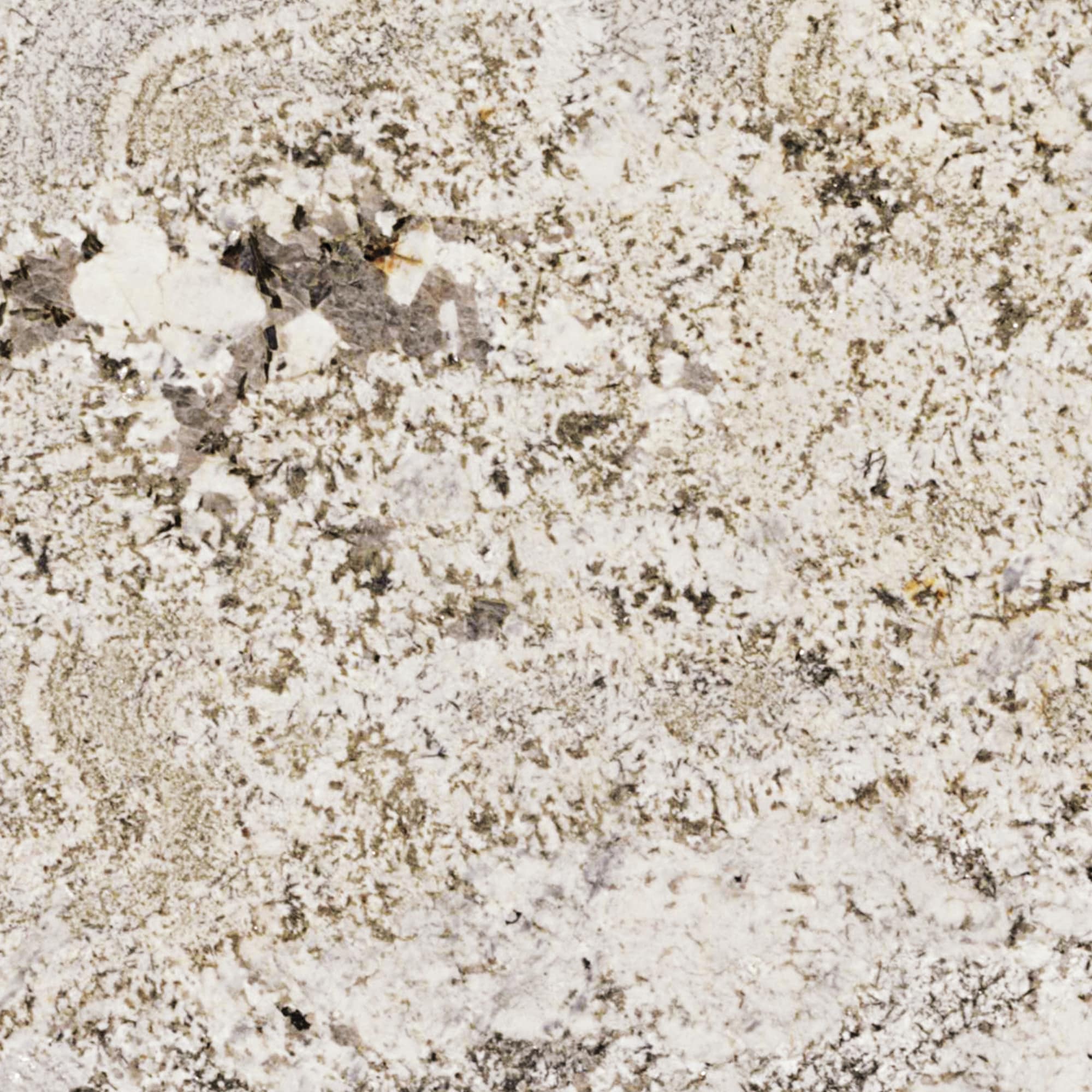 ONE Natural Stone G930SLAB11/41L Enchanted Forest Enchanted Forest Granite Multiple colors/finishes Kitchen Countertop SAMPLE ( 3-in x 3-in )