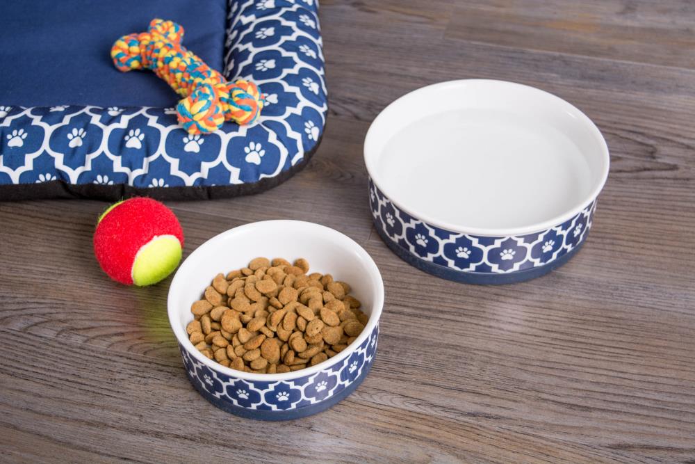 Ceramic Dog Bowls with Bone Pattern, Dog Food Dish for Small Dogs