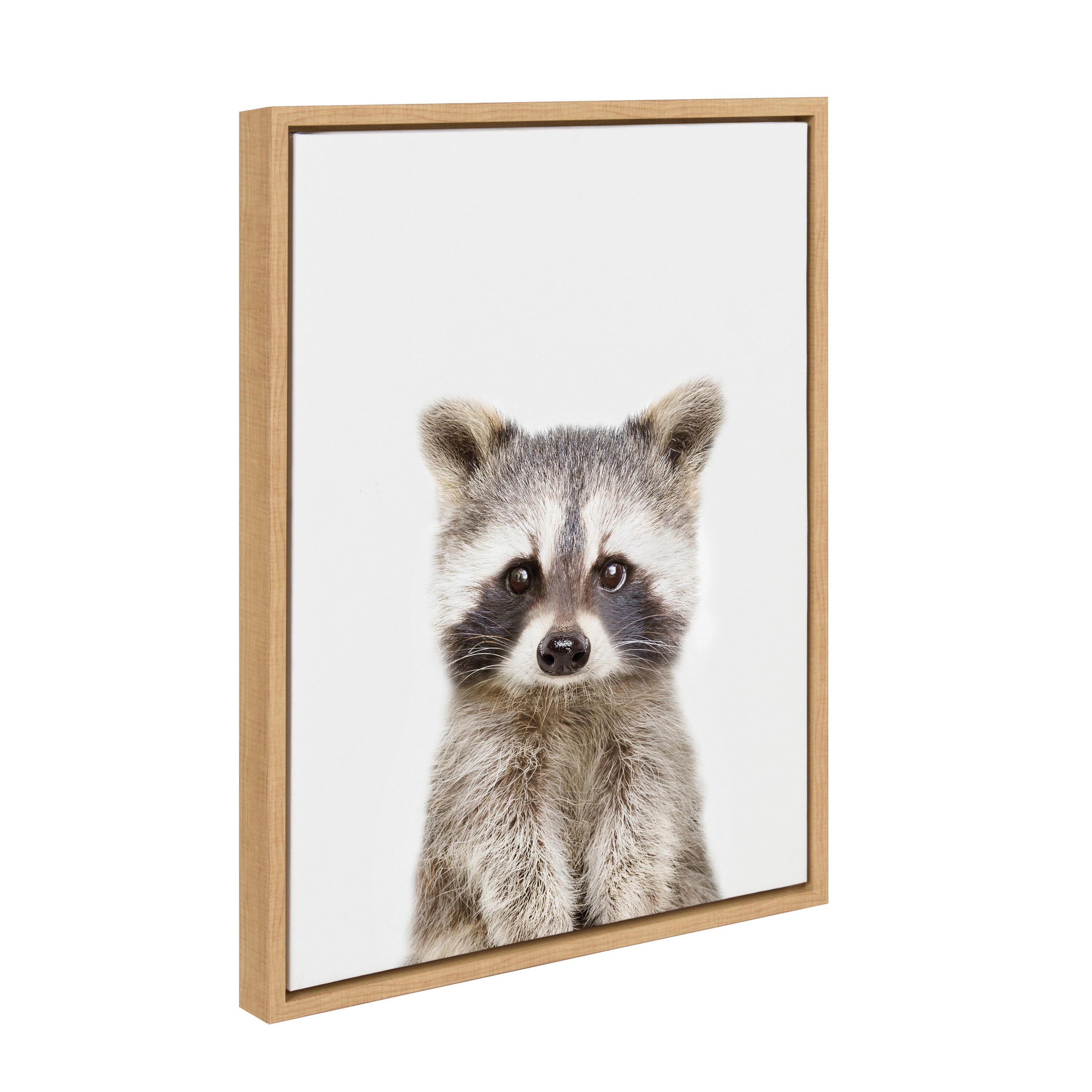 Kate and Laurel Animal Studio Raccoon Amy Peterson Light Brown Framed 24-in  H x 18-in W Animals Print on Canvas in the Wall Art department at 